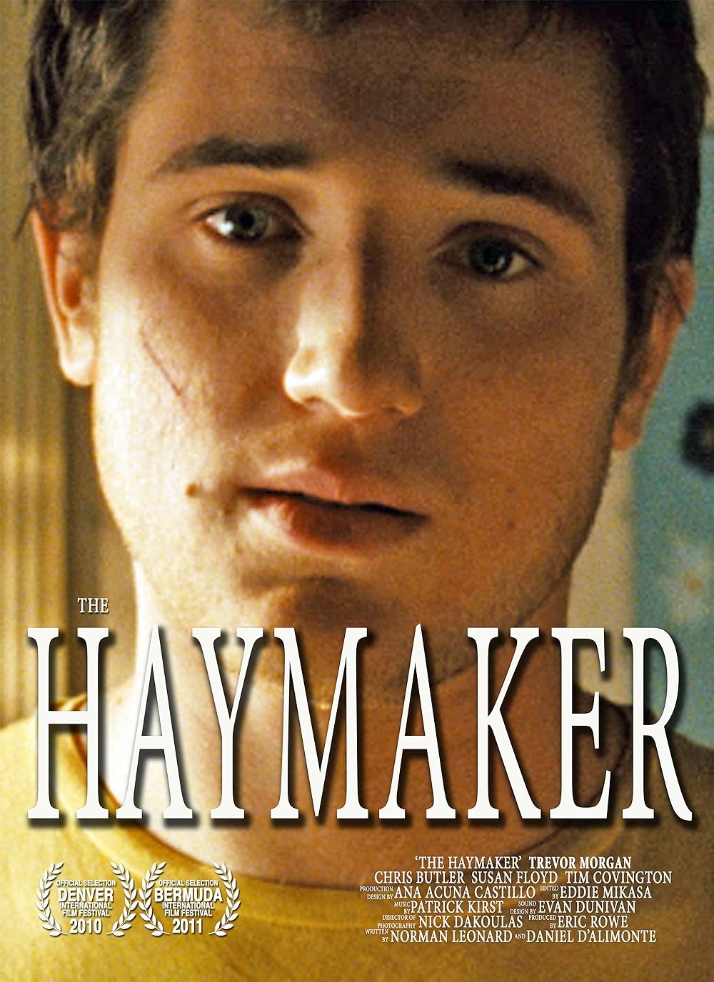 Extra Large Movie Poster Image for The Haymaker
