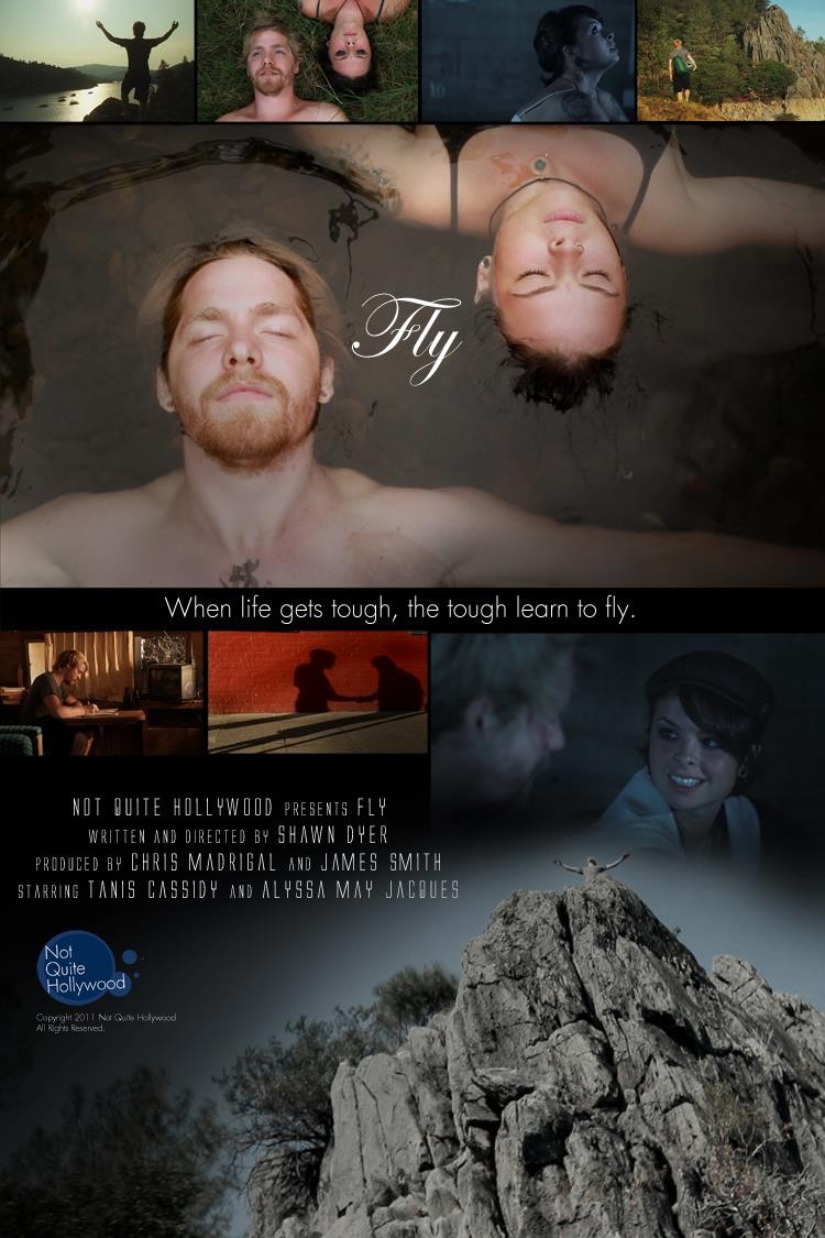 Extra Large Movie Poster Image for Fly