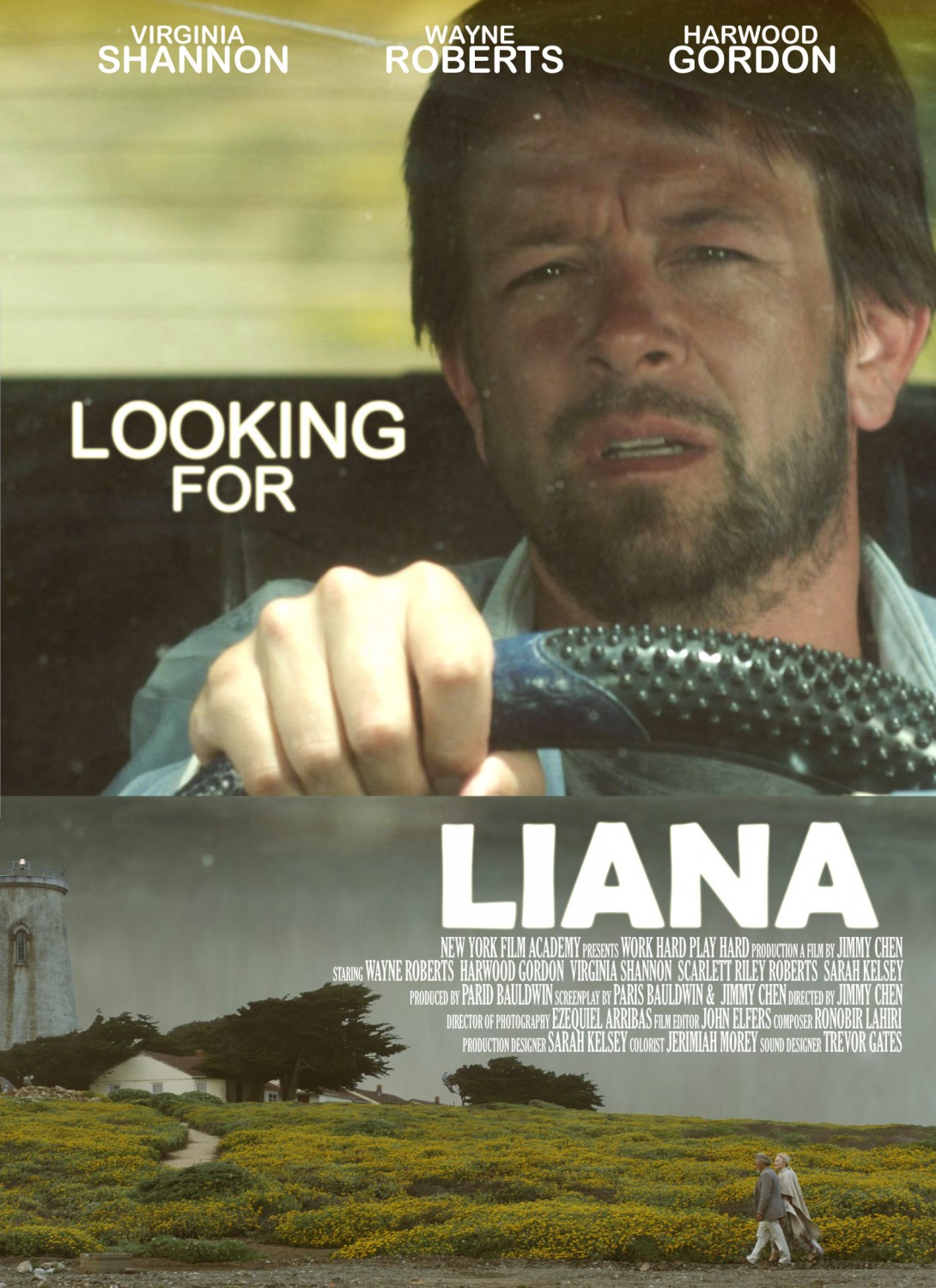 Extra Large Movie Poster Image for Looking for Liana