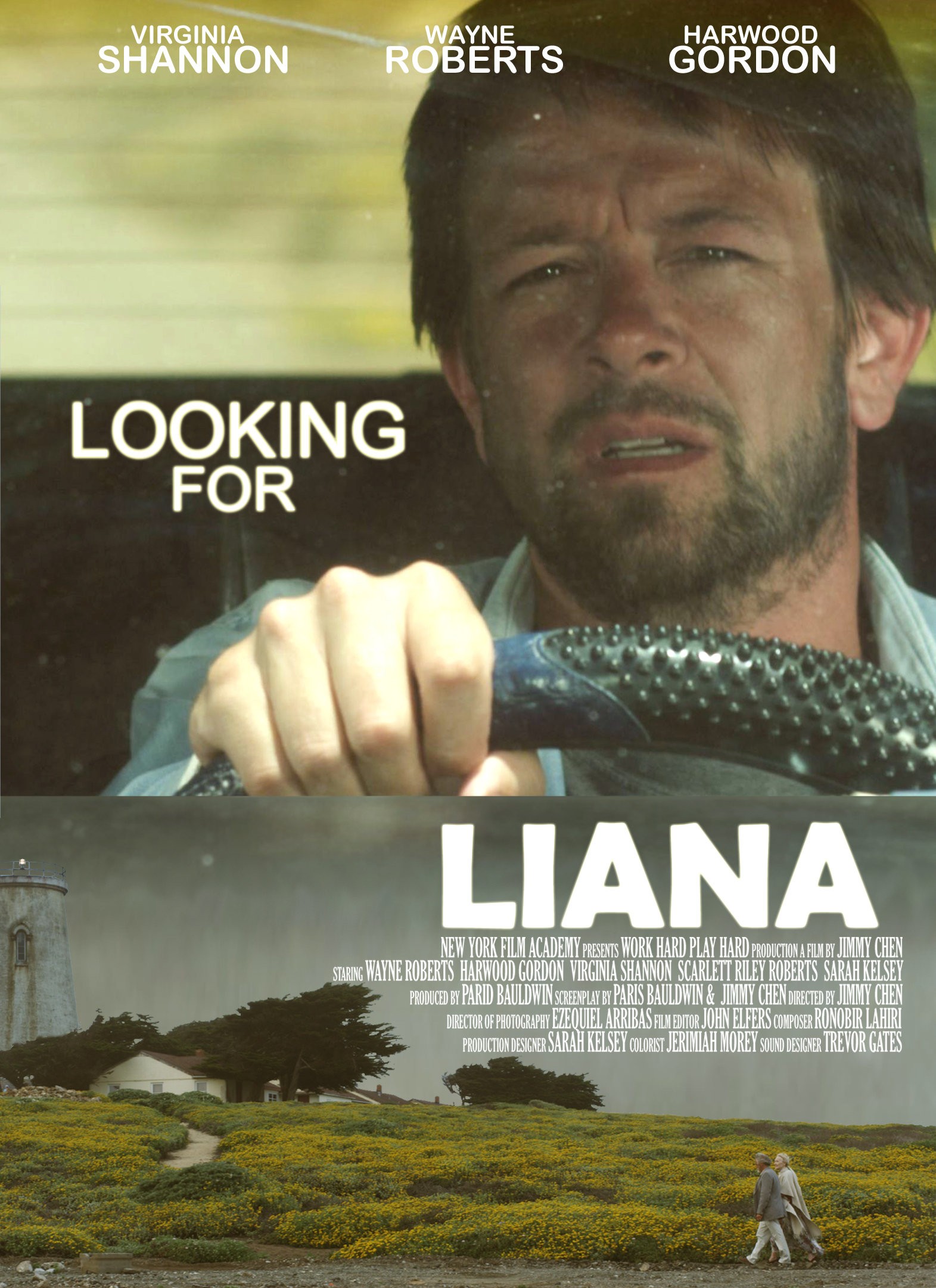 Mega Sized Movie Poster Image for Looking for Liana