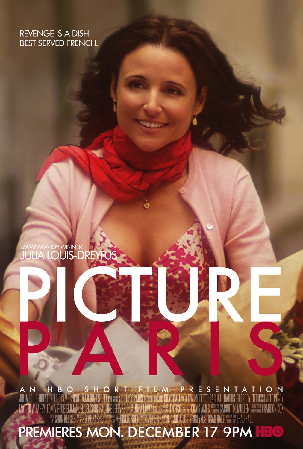 Extra Large Movie Poster Image for Picture Paris