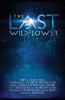 The Last Wildflower (2013) Thumbnail