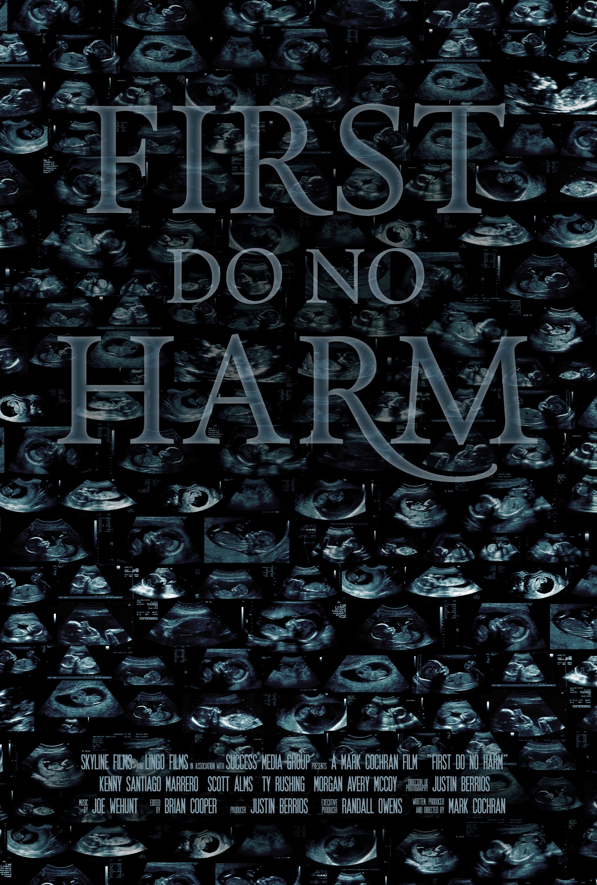 Mega Sized Movie Poster Image for First, Do No Harm