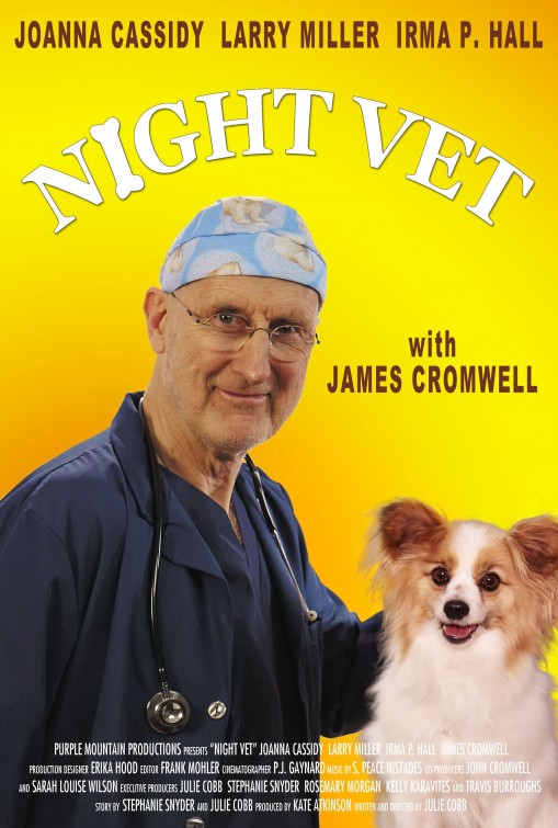 Night Vet Short Film Poster