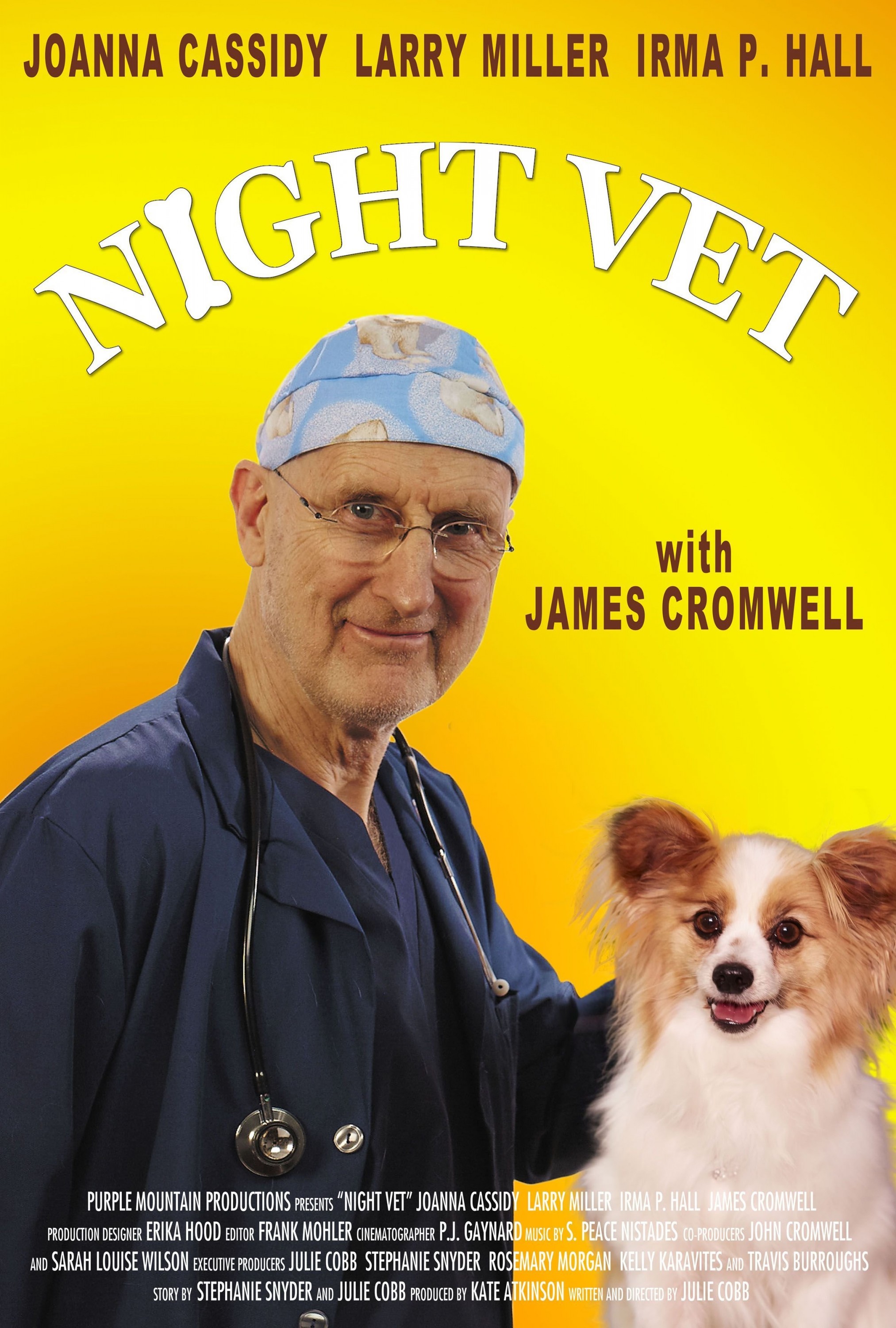 Mega Sized Movie Poster Image for Night Vet