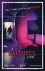 A Faithful Son (2014) Thumbnail