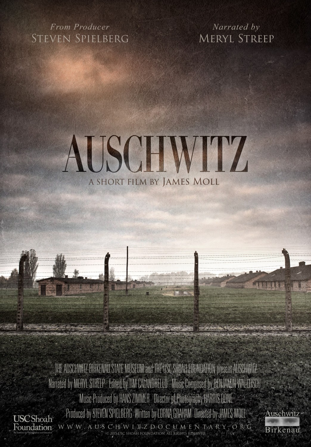 Extra Large Movie Poster Image for Auschwitz