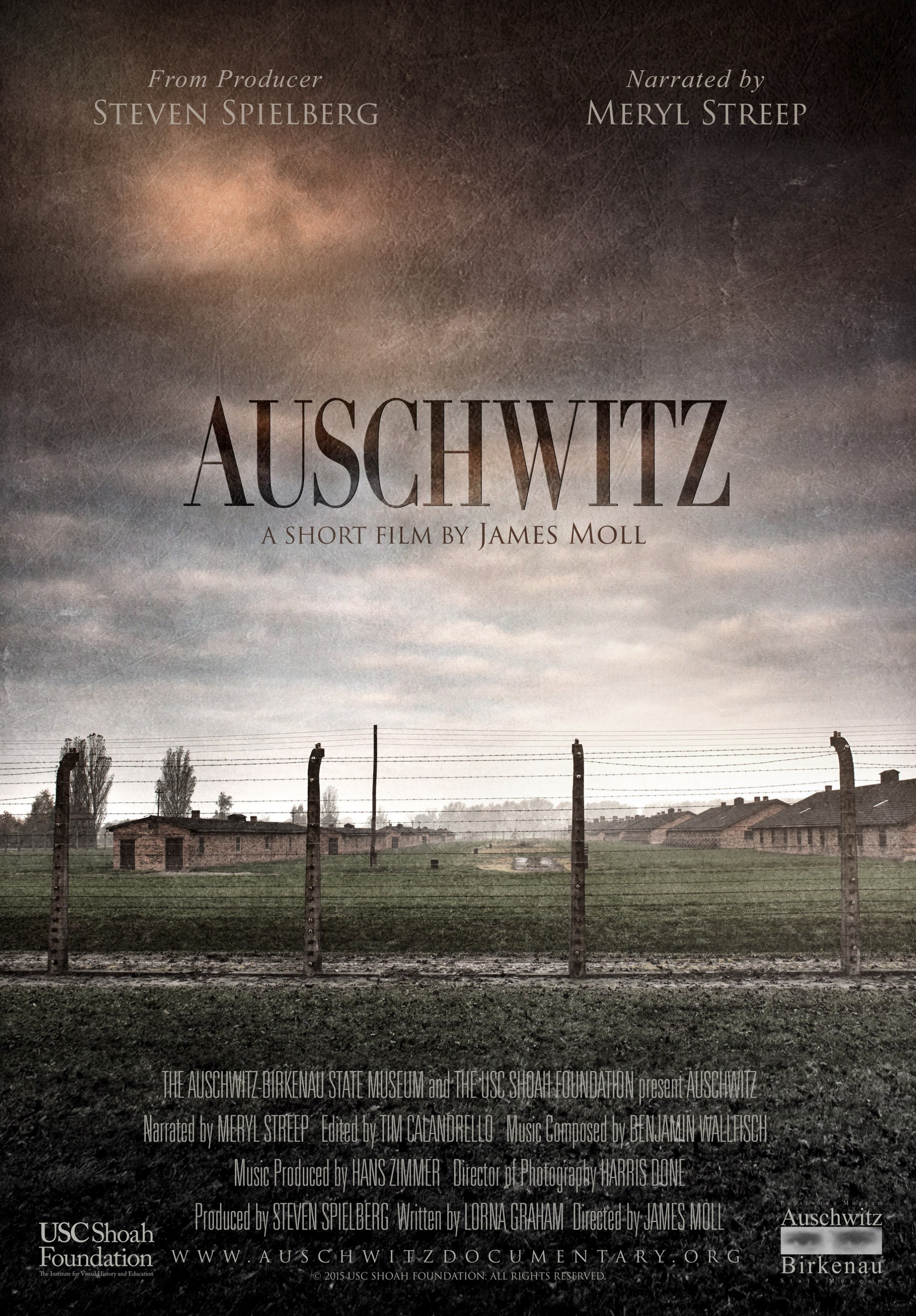 Mega Sized Movie Poster Image for Auschwitz