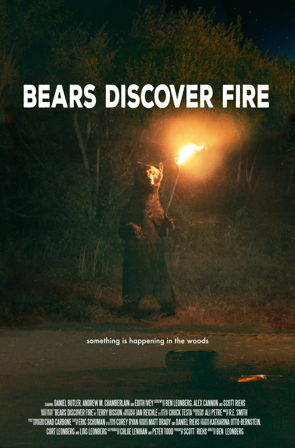 Extra Large Movie Poster Image for Bears Discover Fire