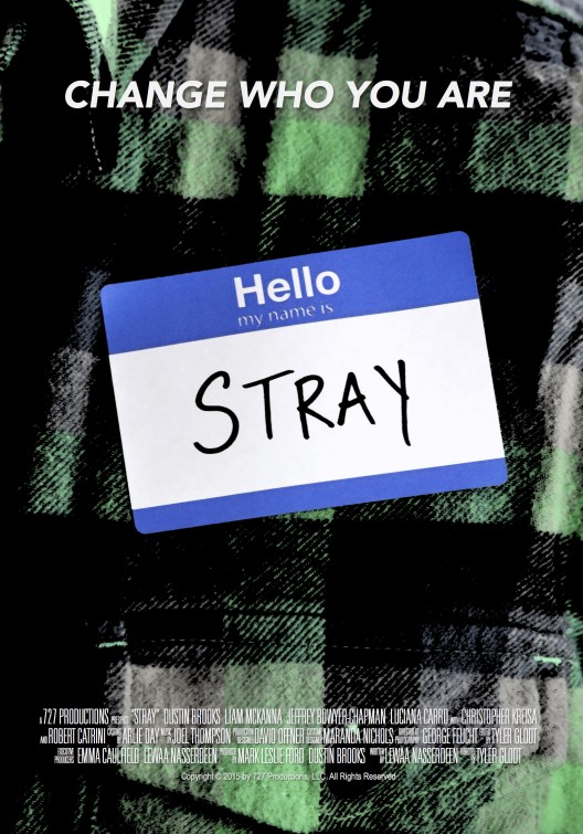 Stray Short Film Poster