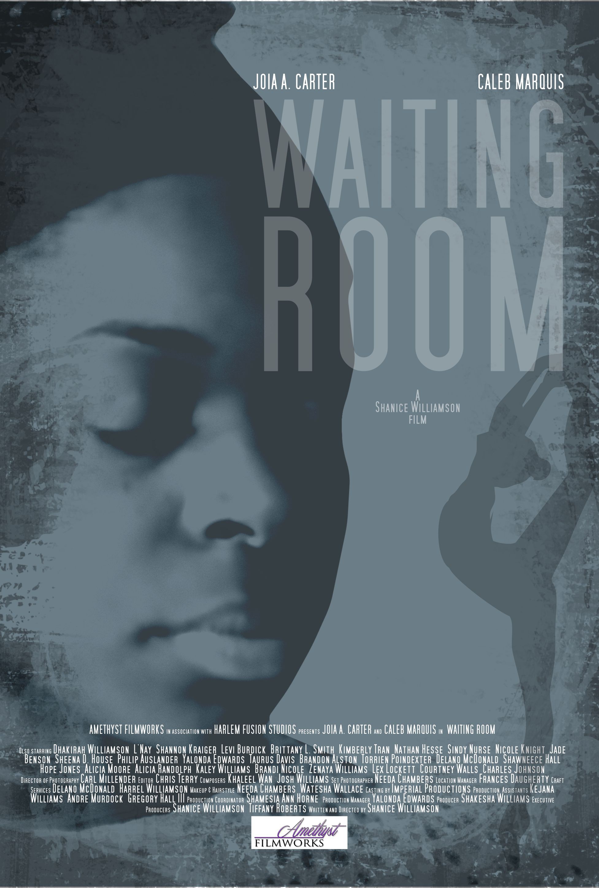Mega Sized Movie Poster Image for Waiting Room