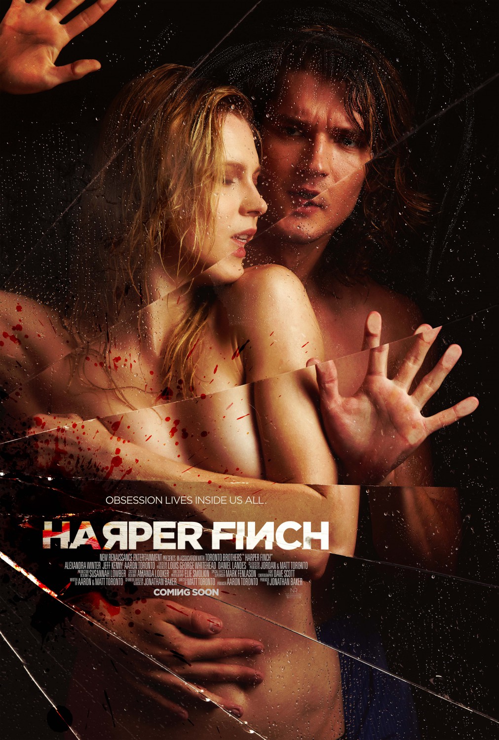 Extra Large Movie Poster Image for Harper Finch