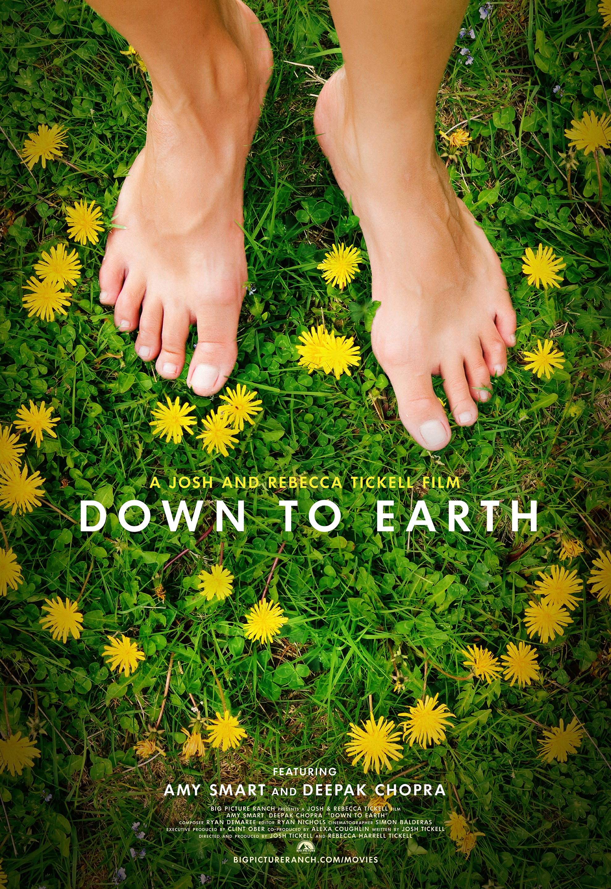 Mega Sized Movie Poster Image for Down To Earth