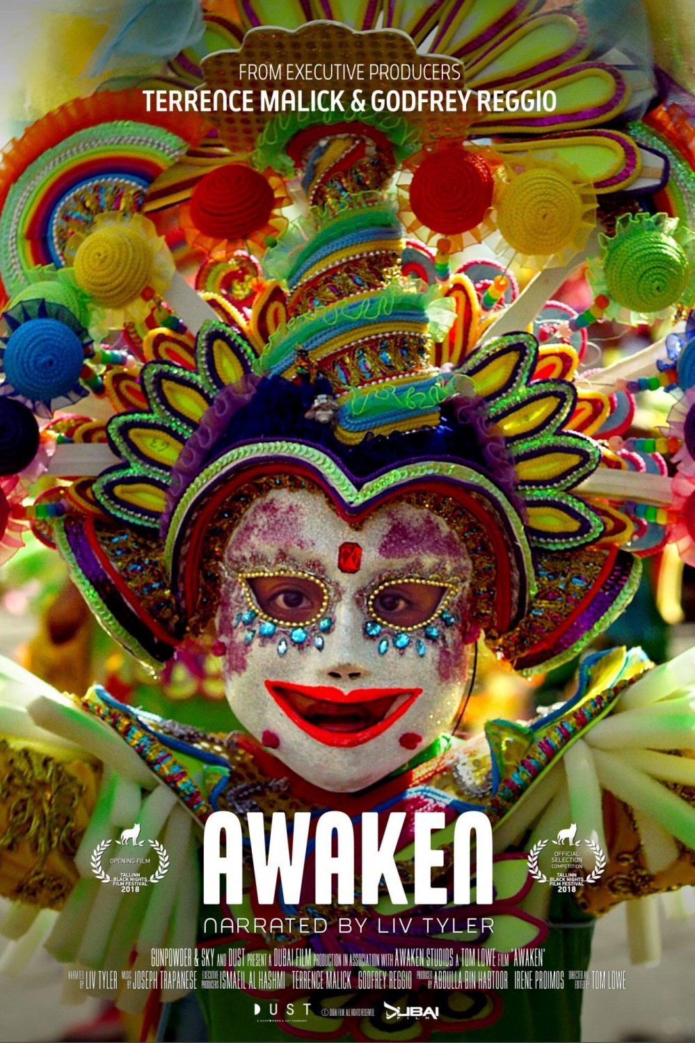 Extra Large Movie Poster Image for Awaken