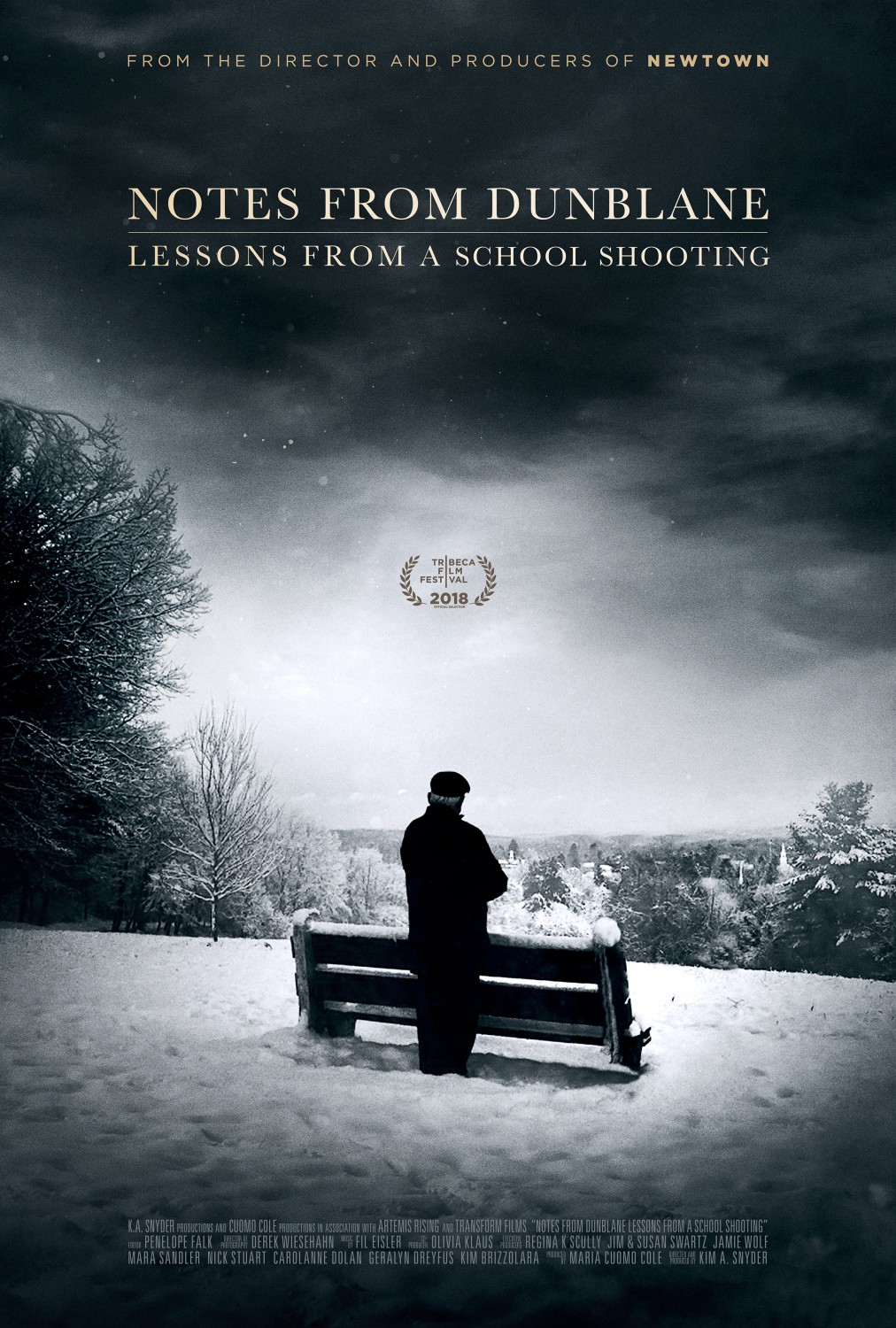 Extra Large Movie Poster Image for Notes from Dunblane: Lesson from a School Shooting