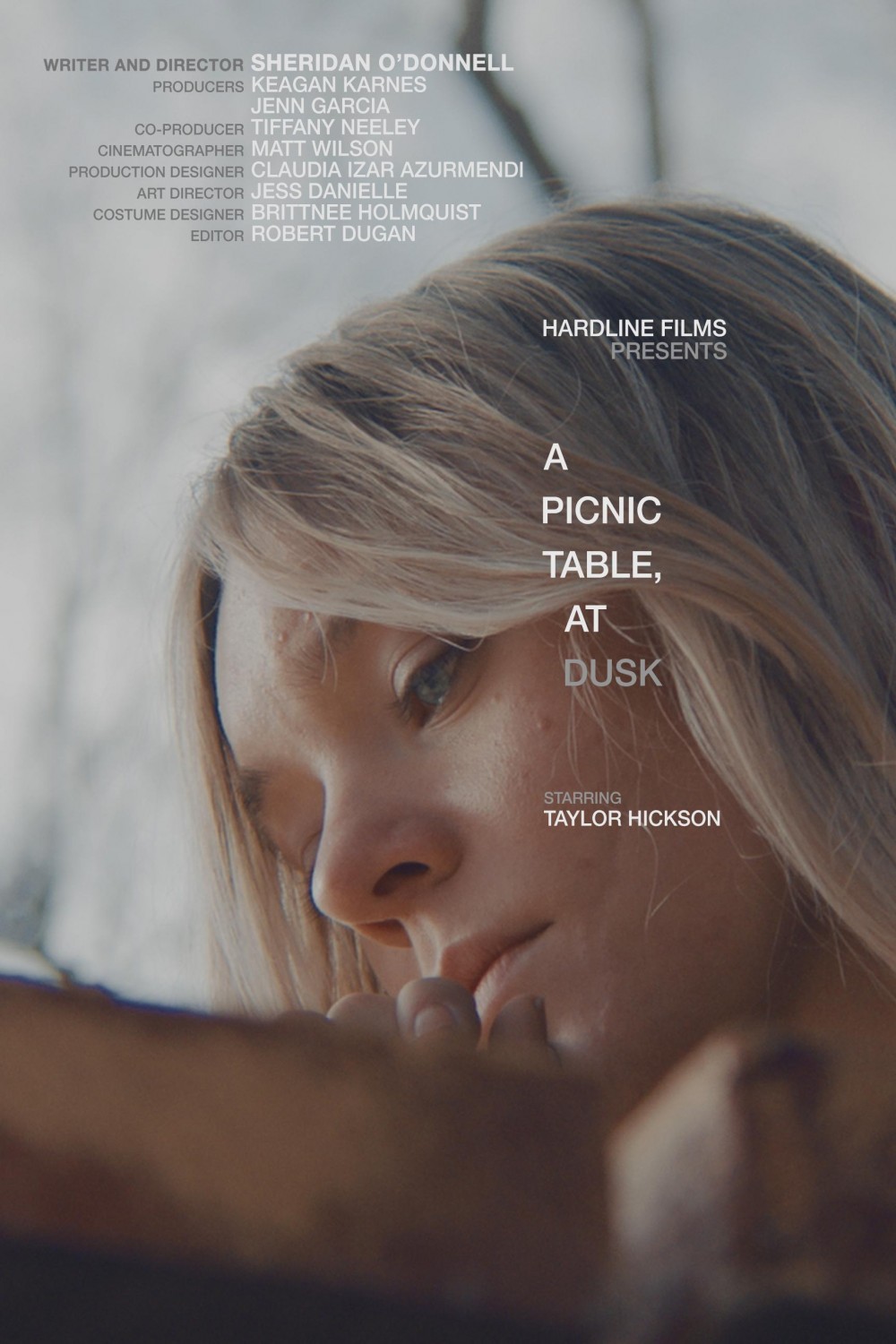 Extra Large Movie Poster Image for A Picnic Table, At Dusk