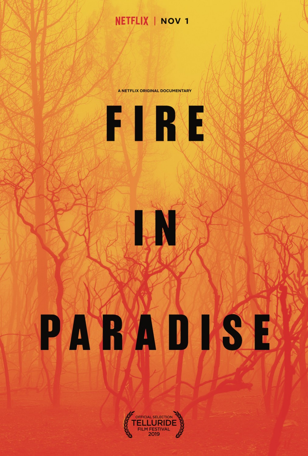 Extra Large Movie Poster Image for Fire in Paradise