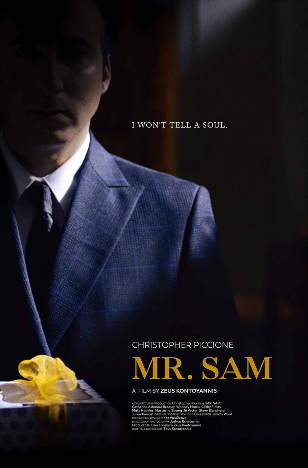 Extra Large Movie Poster Image for Mr. Sam