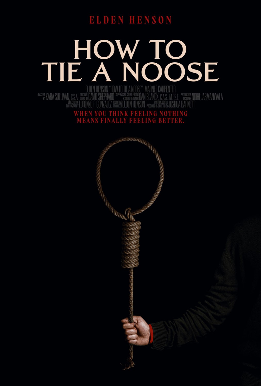 Extra Large Movie Poster Image for How to Tie a Noose