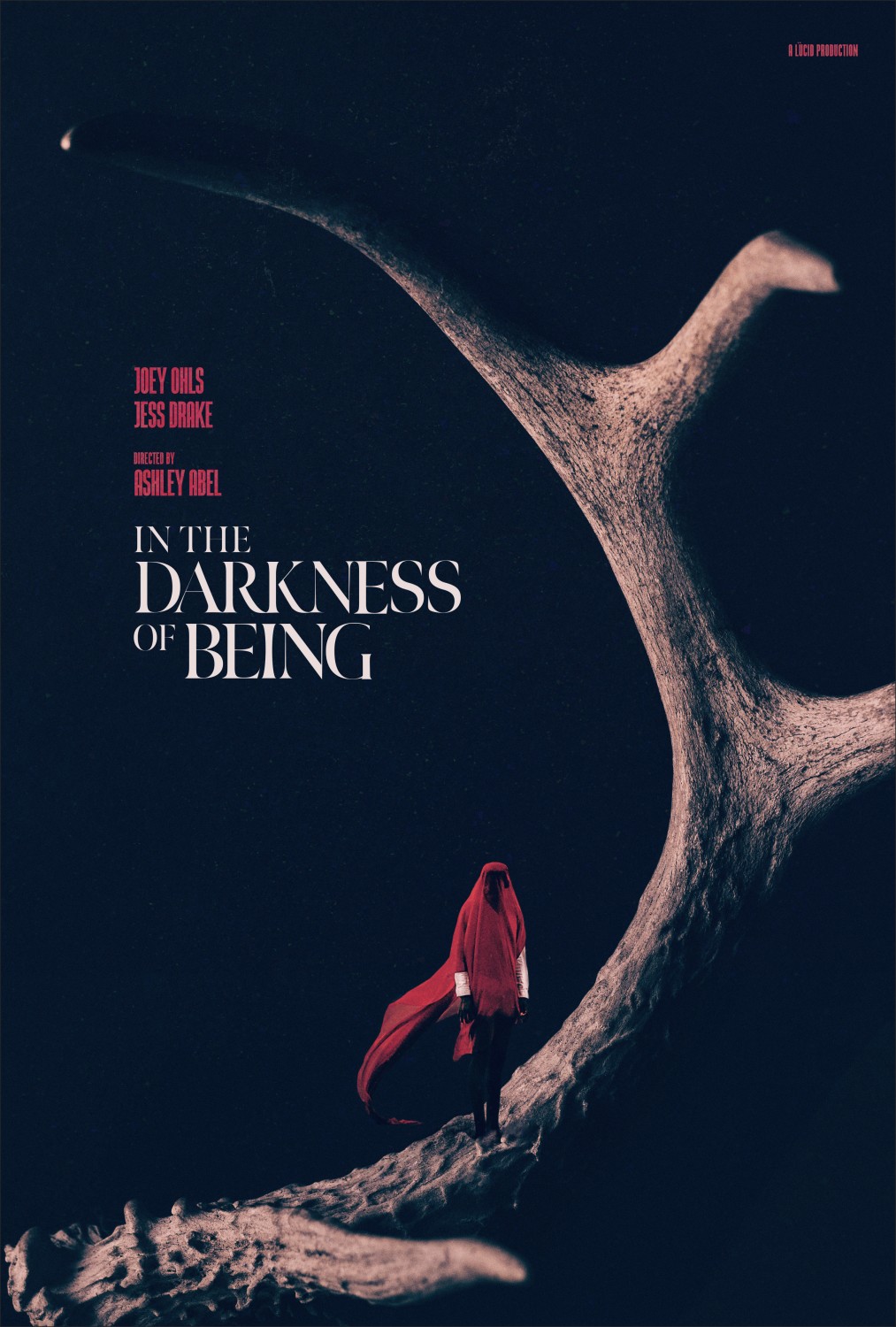 Extra Large Movie Poster Image for In the Darkness of Being