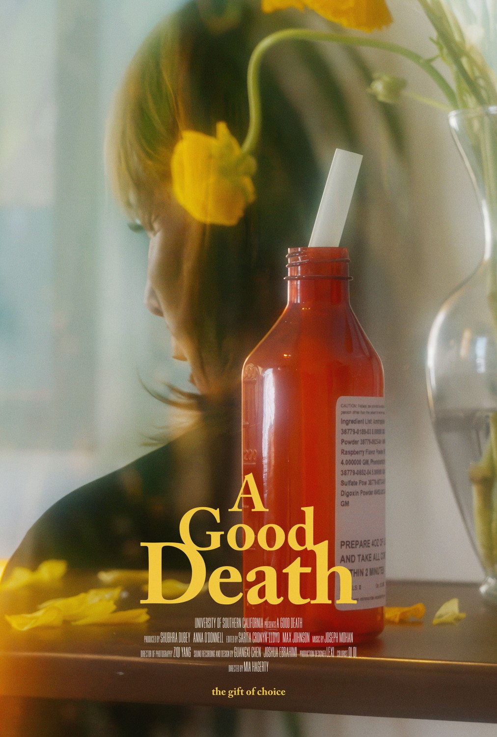 Extra Large Movie Poster Image for A Good Death
