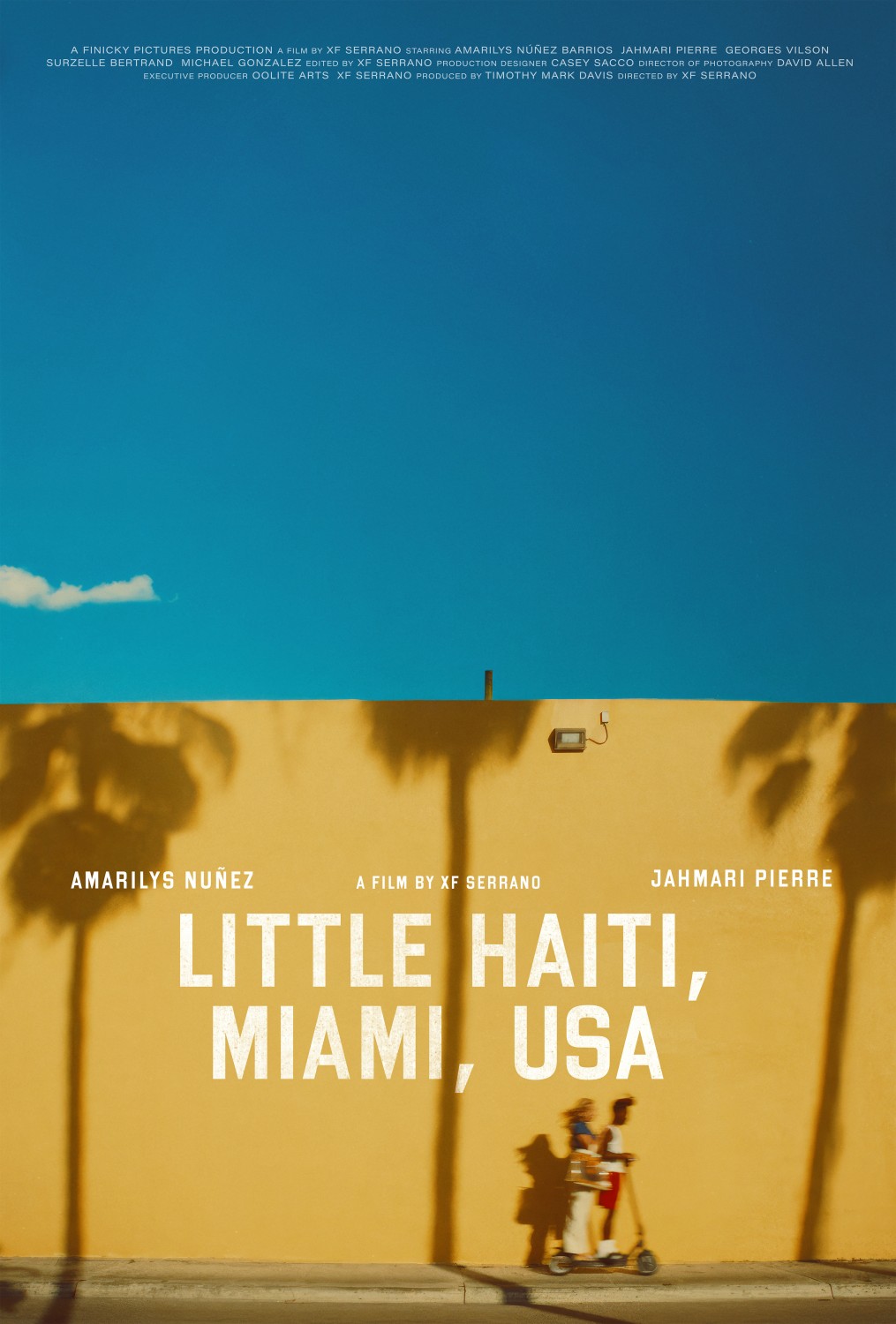 Extra Large Movie Poster Image for Little Haiti, Miami, USA