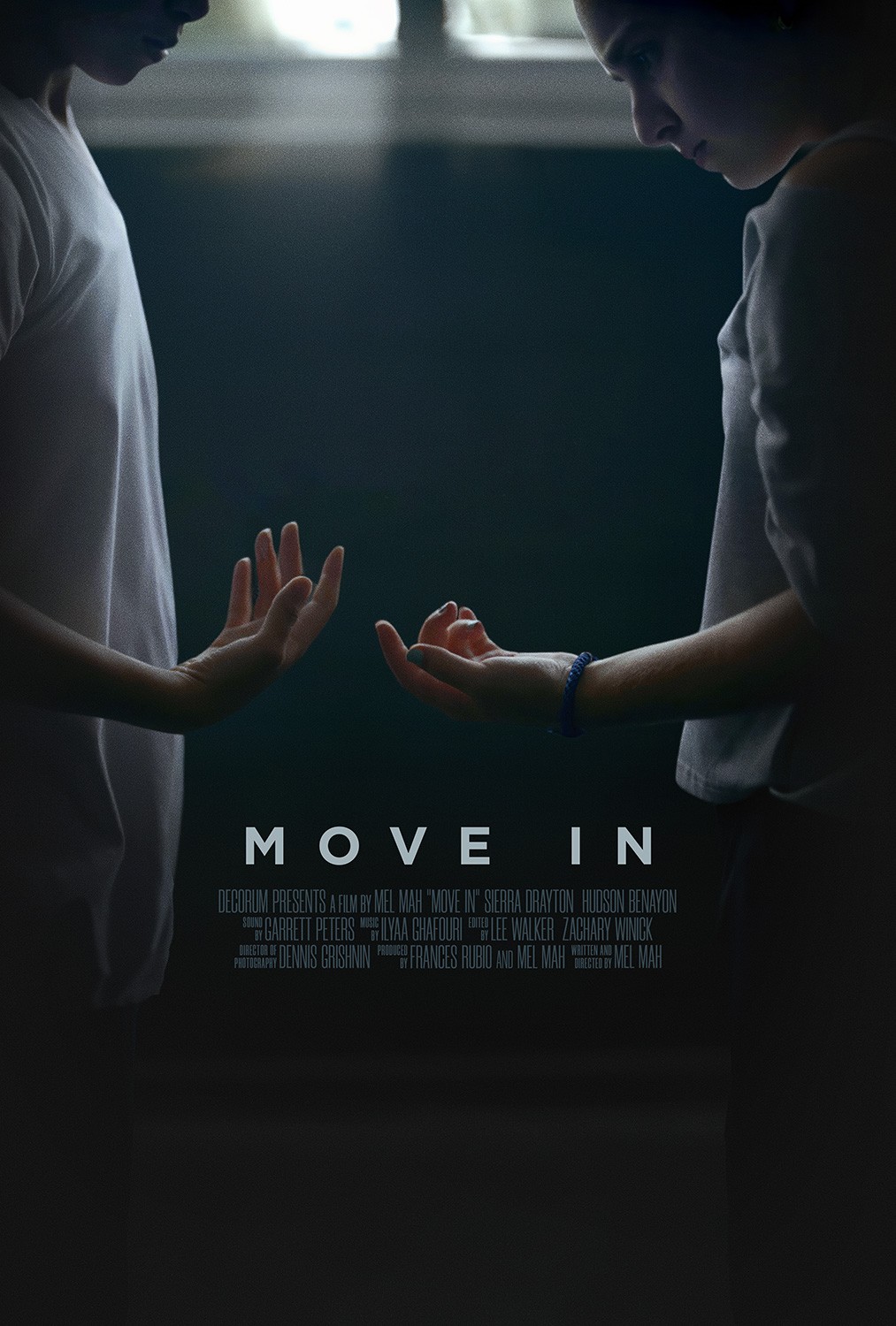 Extra Large Movie Poster Image for Move In