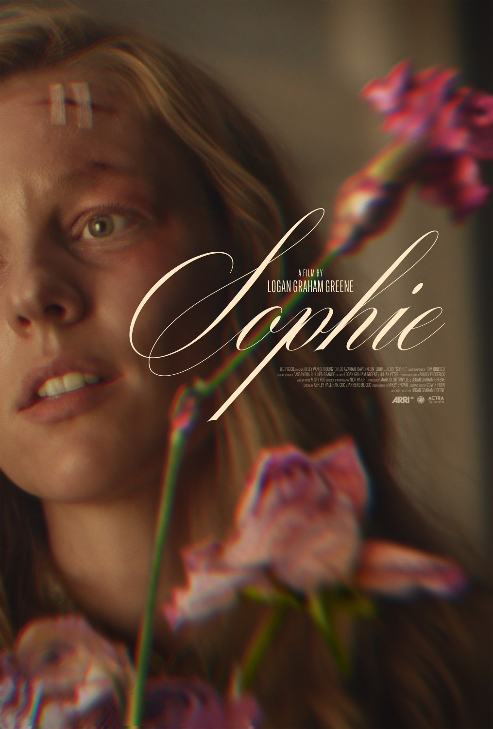 Extra Large Movie Poster Image for Sophie