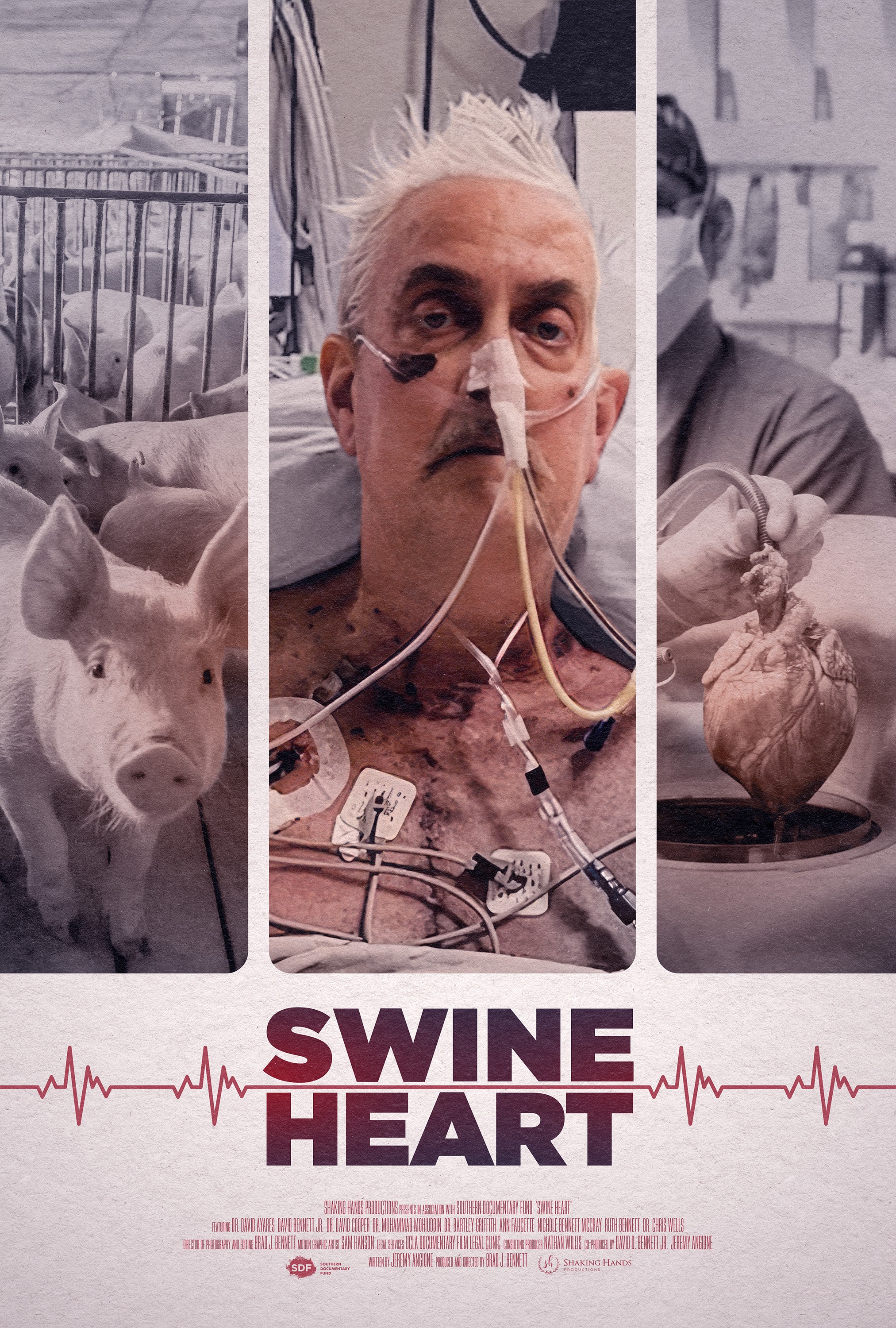 Mega Sized Movie Poster Image for Swine Heart