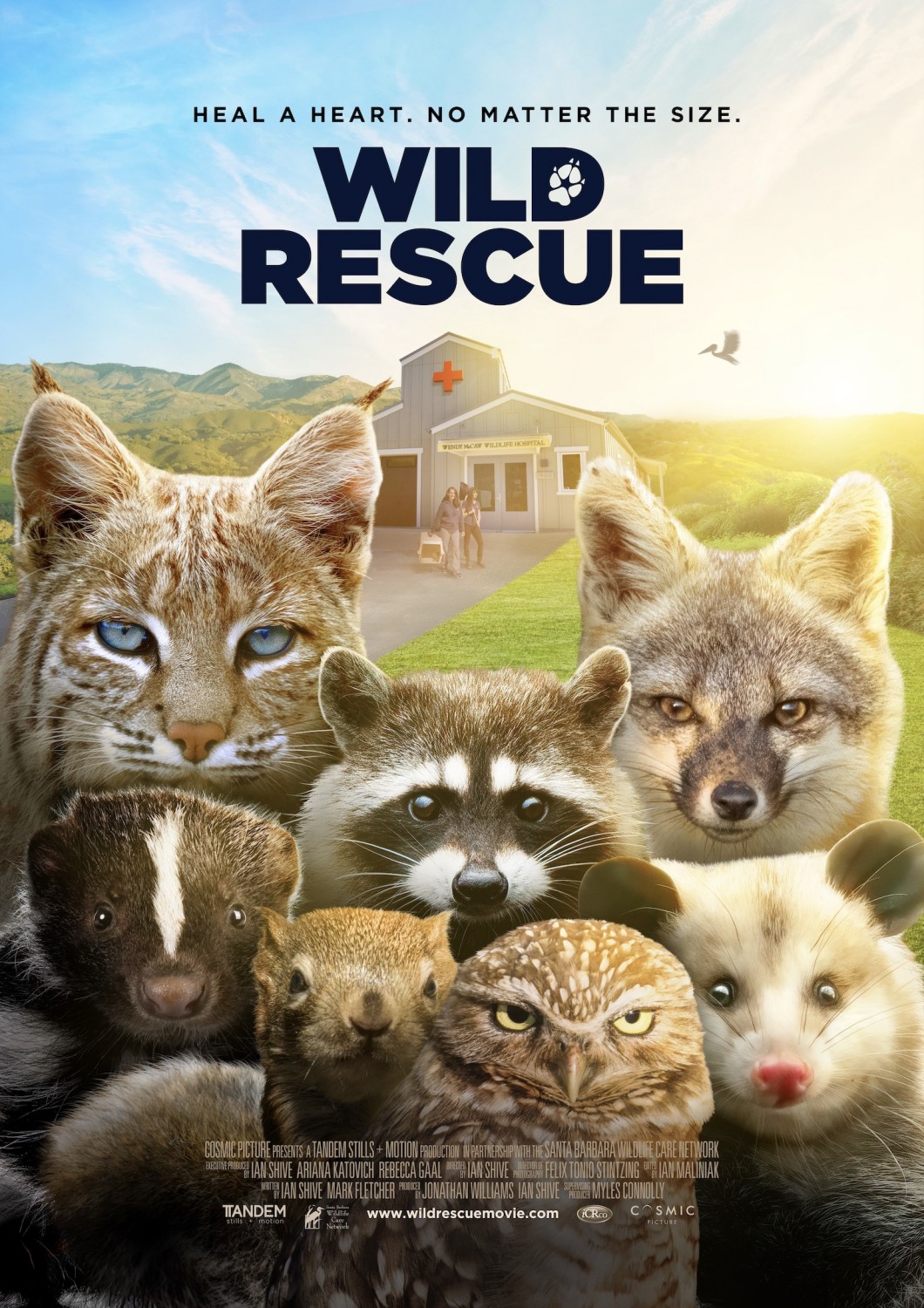 Extra Large Movie Poster Image for Wild Rescue