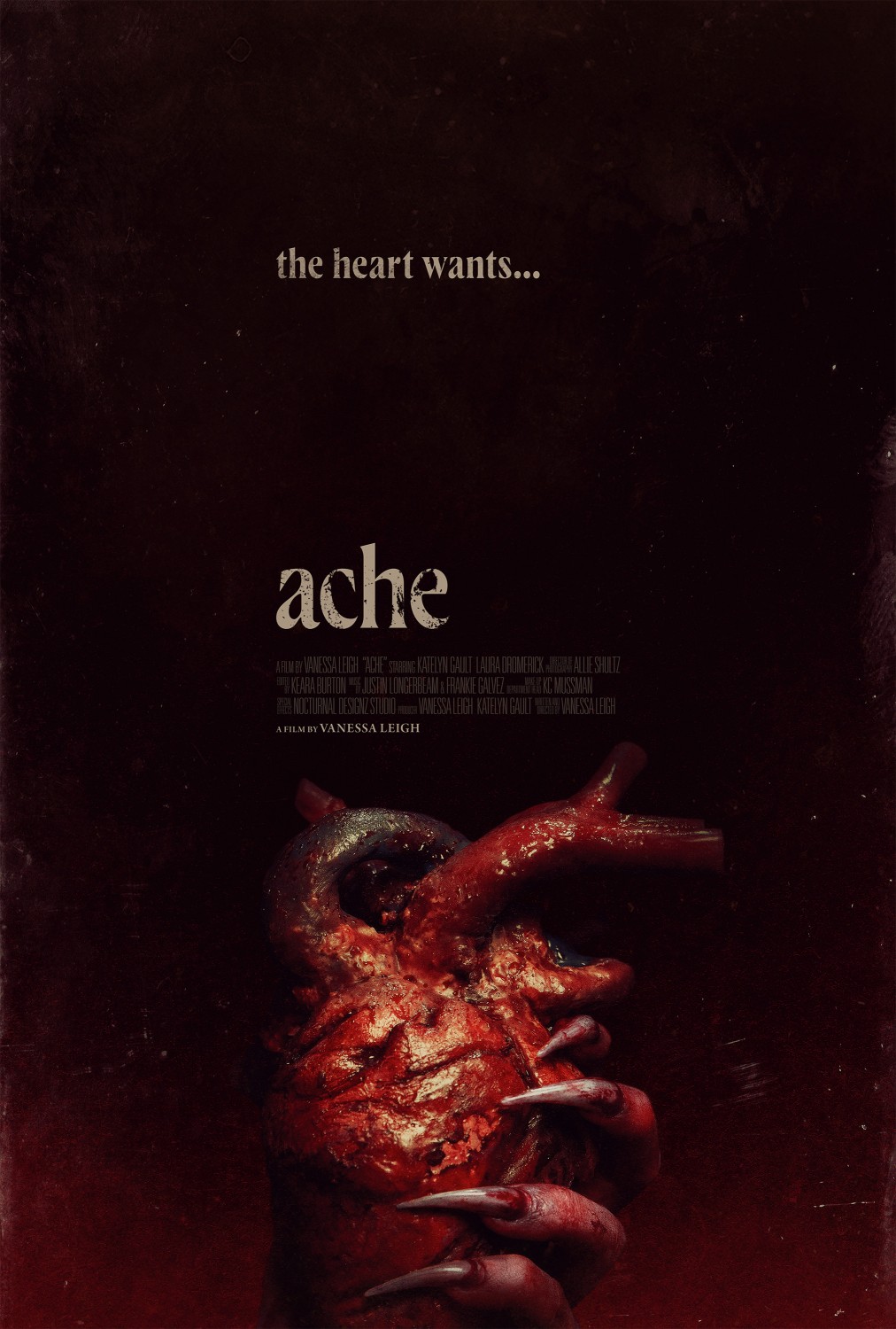 Extra Large Movie Poster Image for Ache