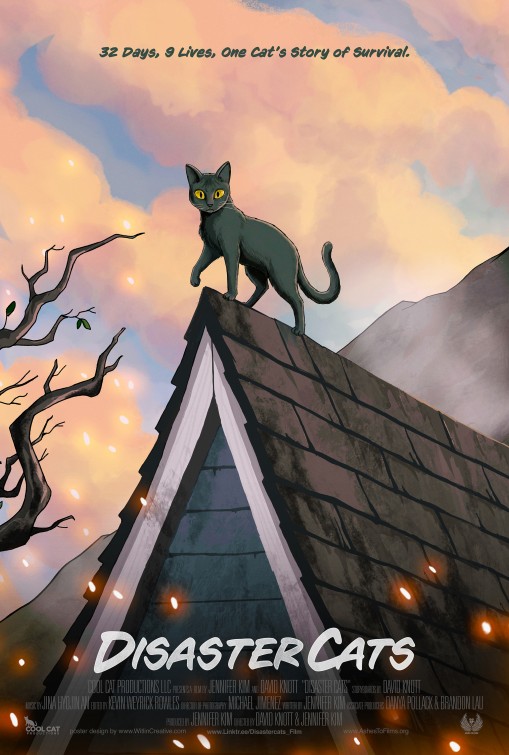 Disaster Cats Short Film Poster