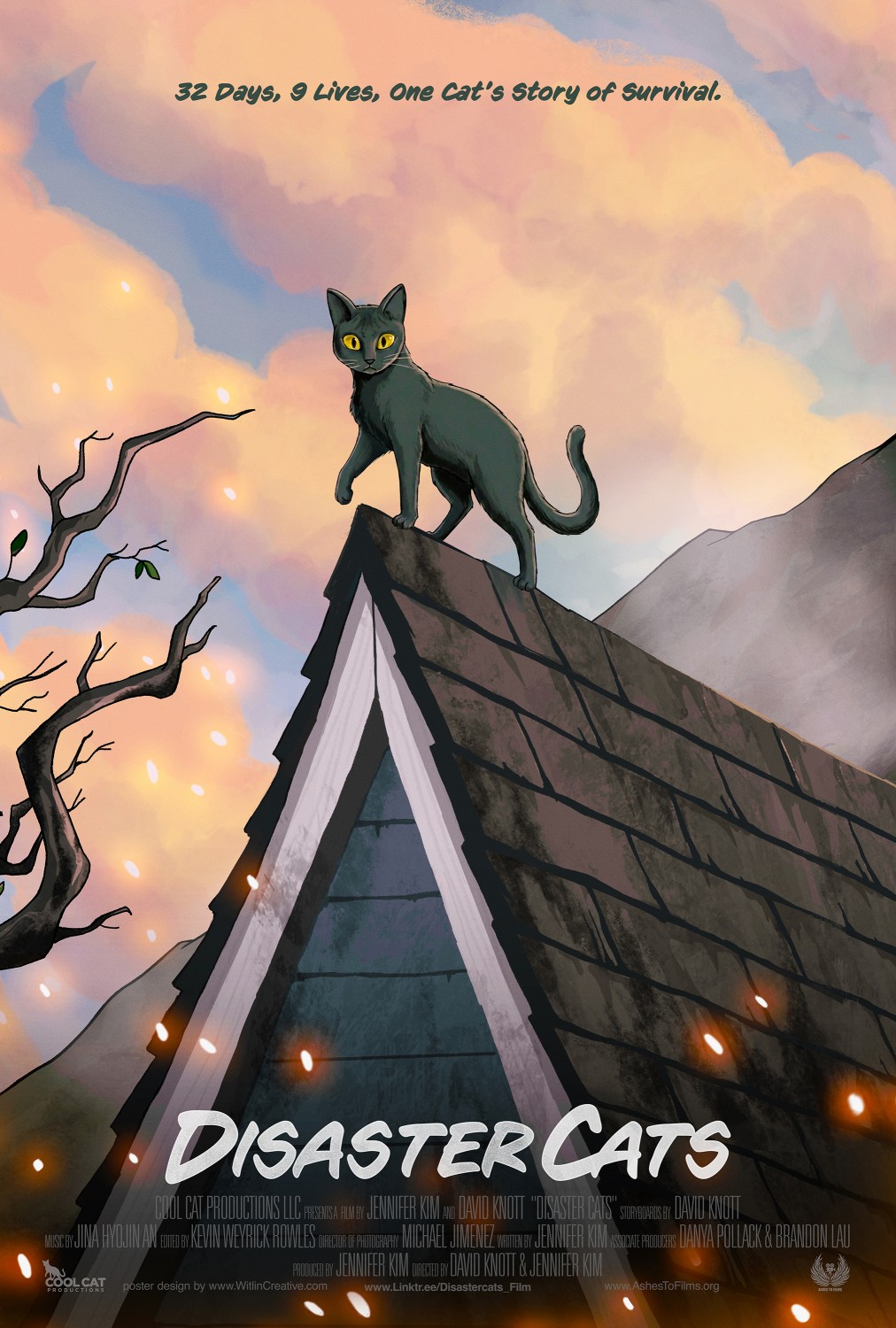 Extra Large Movie Poster Image for Disaster Cats