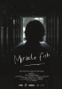 Miracle Fish (2009) Thumbnail