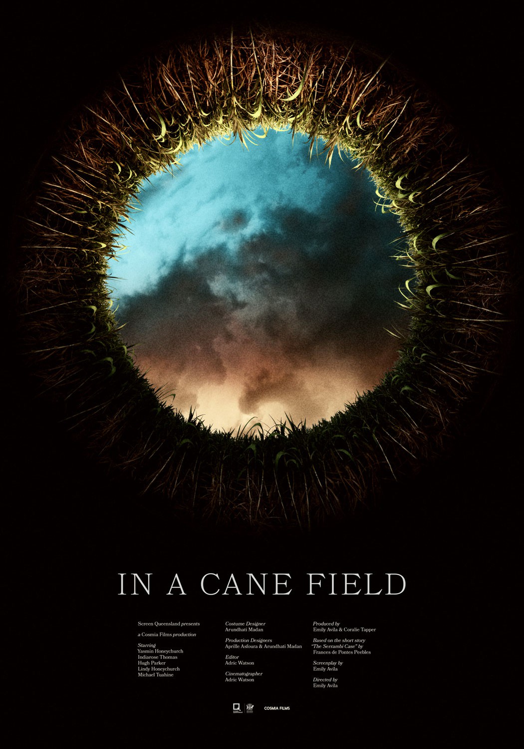 Extra Large Movie Poster Image for In a Cane Field