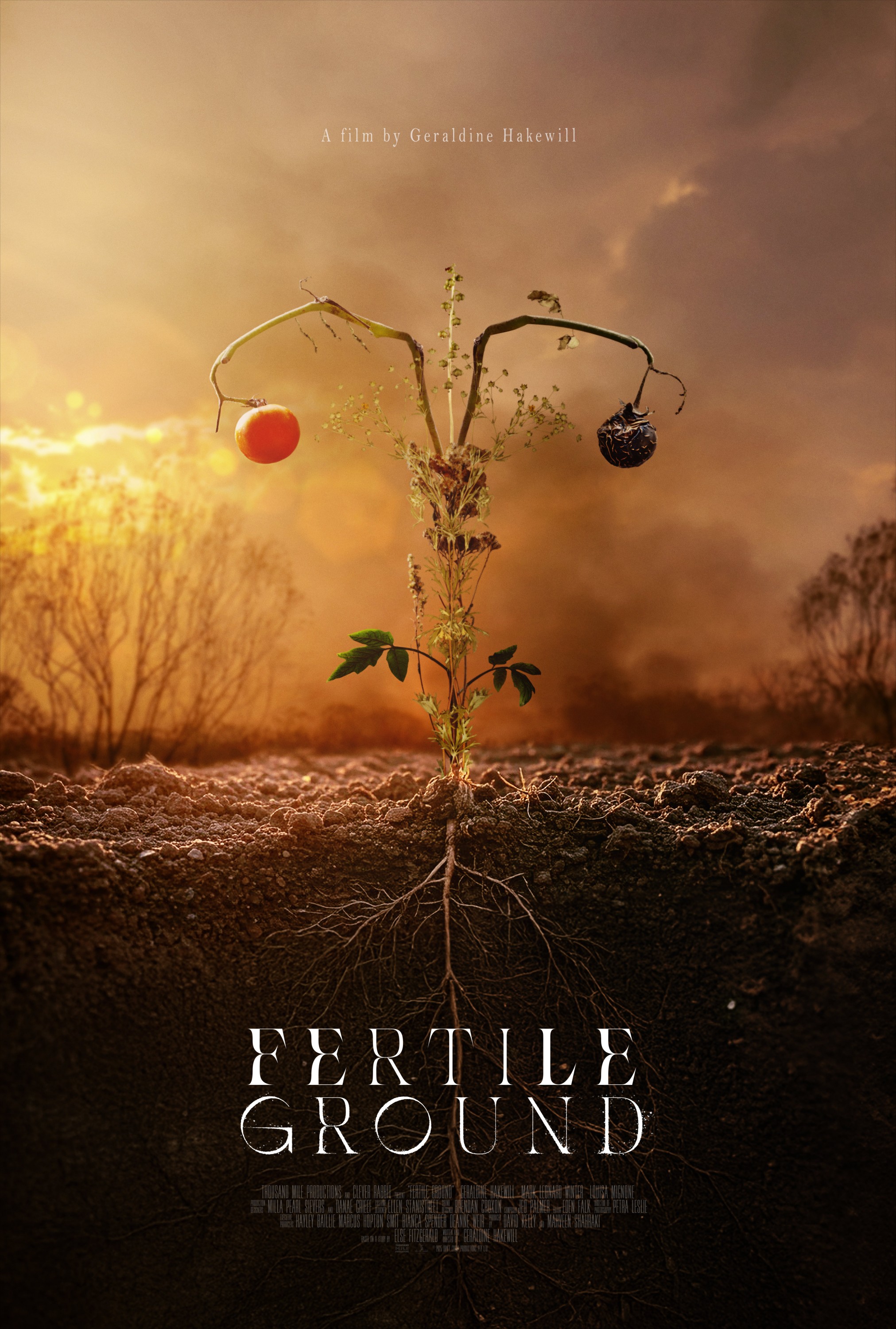 Mega Sized Movie Poster Image for Fertile Ground