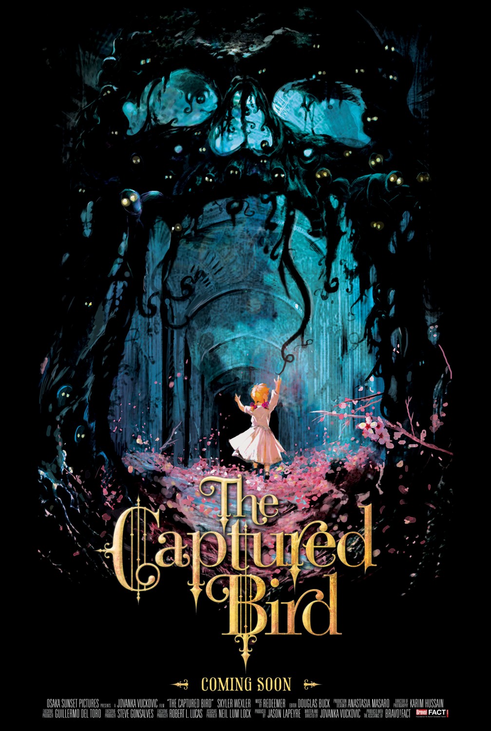 Extra Large Movie Poster Image for The Captured Bird