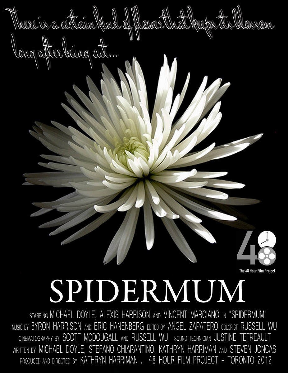 Extra Large Movie Poster Image for Spidermum