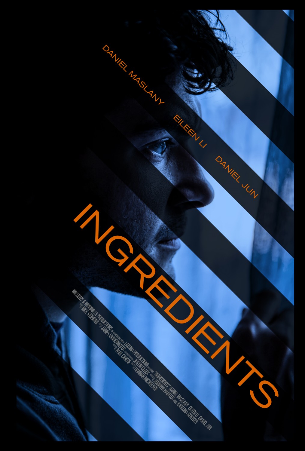 Extra Large Movie Poster Image for Ingredients