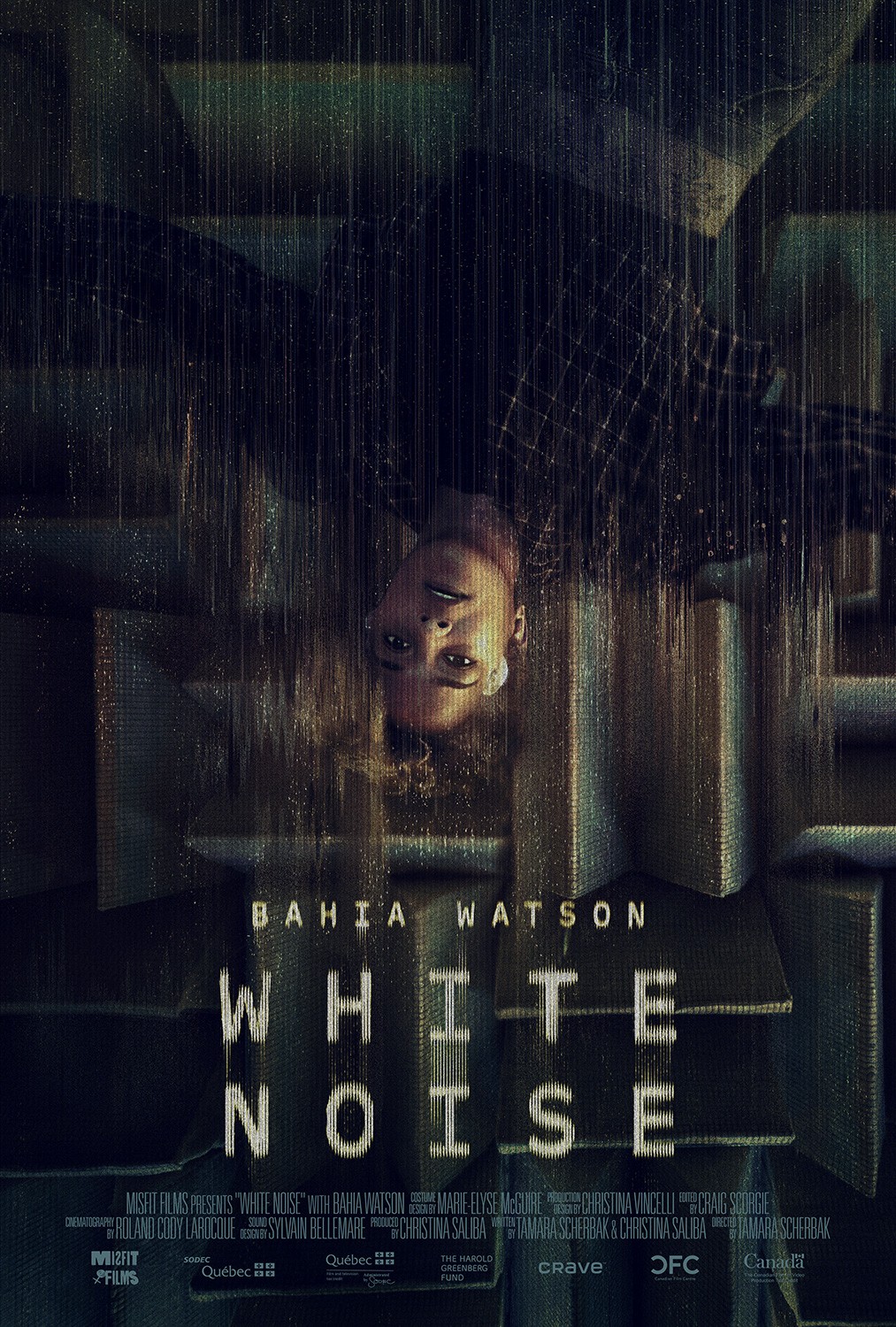 Extra Large Movie Poster Image for White Noise