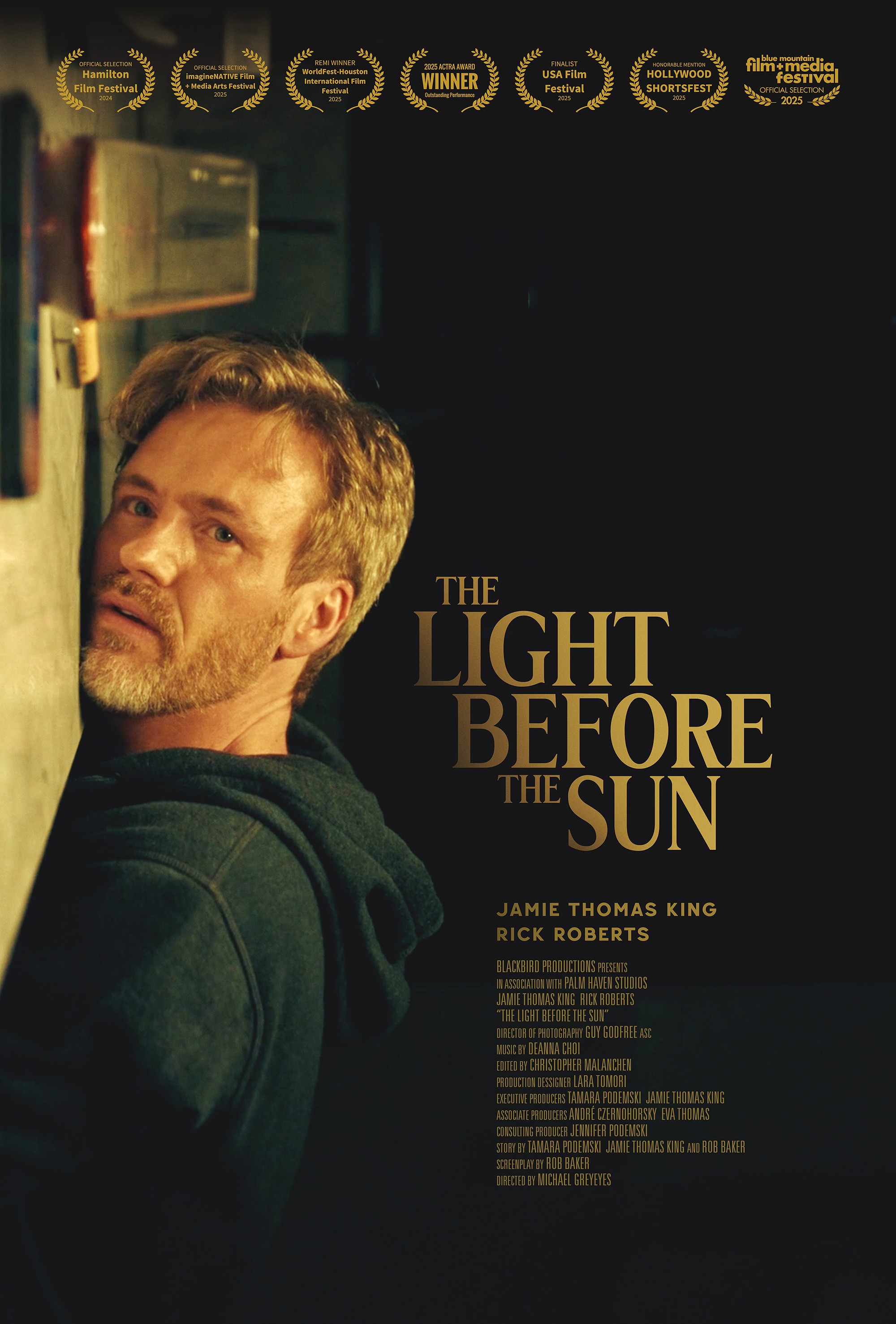 Mega Sized Movie Poster Image for The Light Before the Sun
