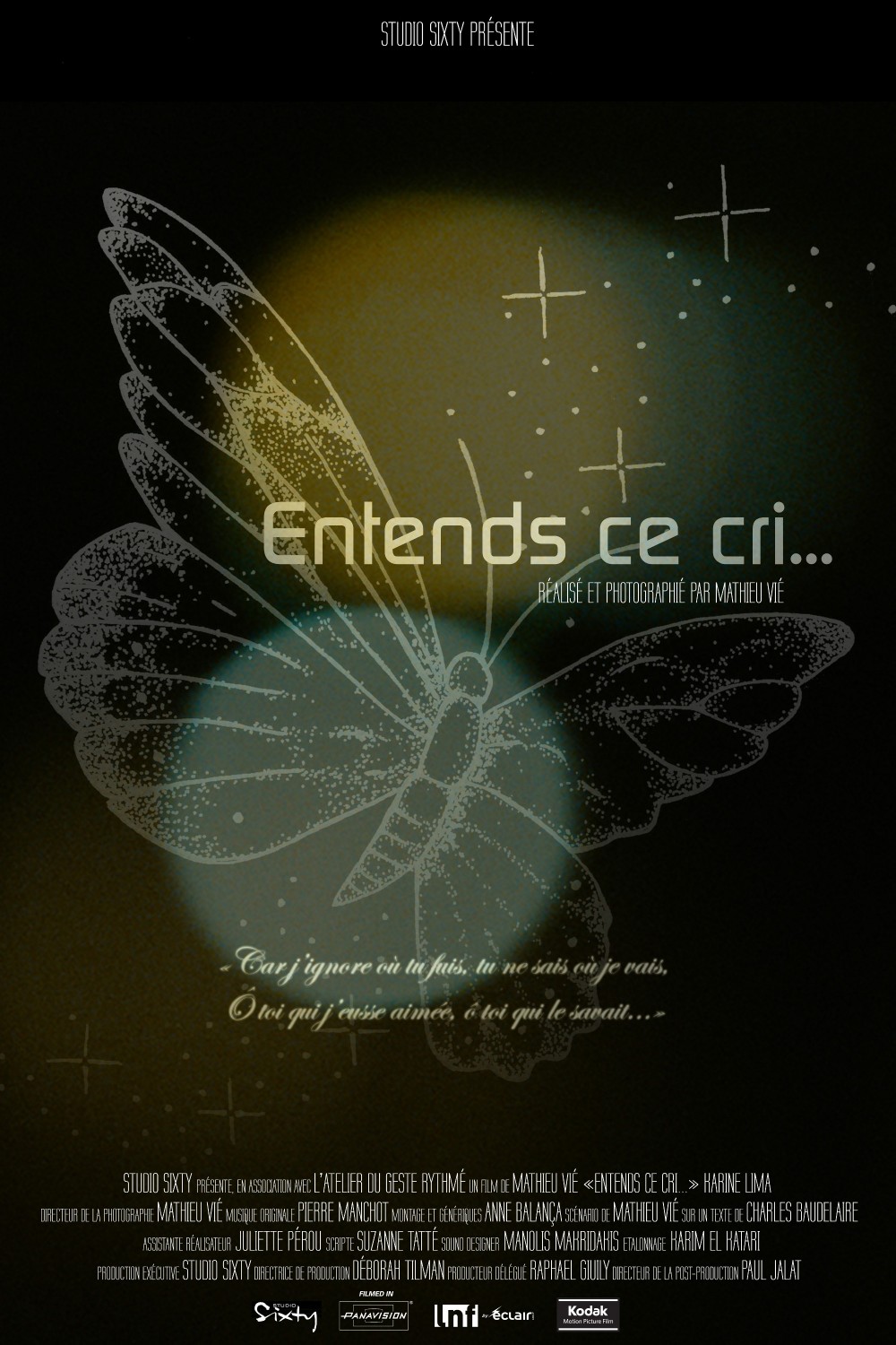 Extra Large Movie Poster Image for Entends ce cri...