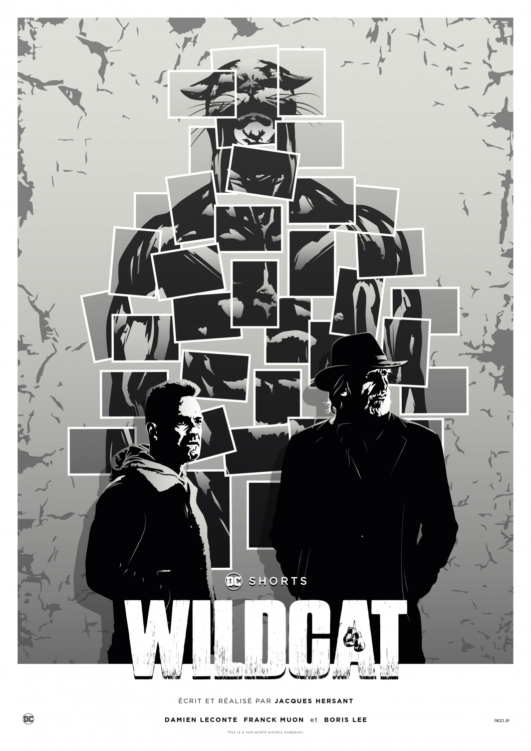Extra Large Movie Poster Image for Wildcat