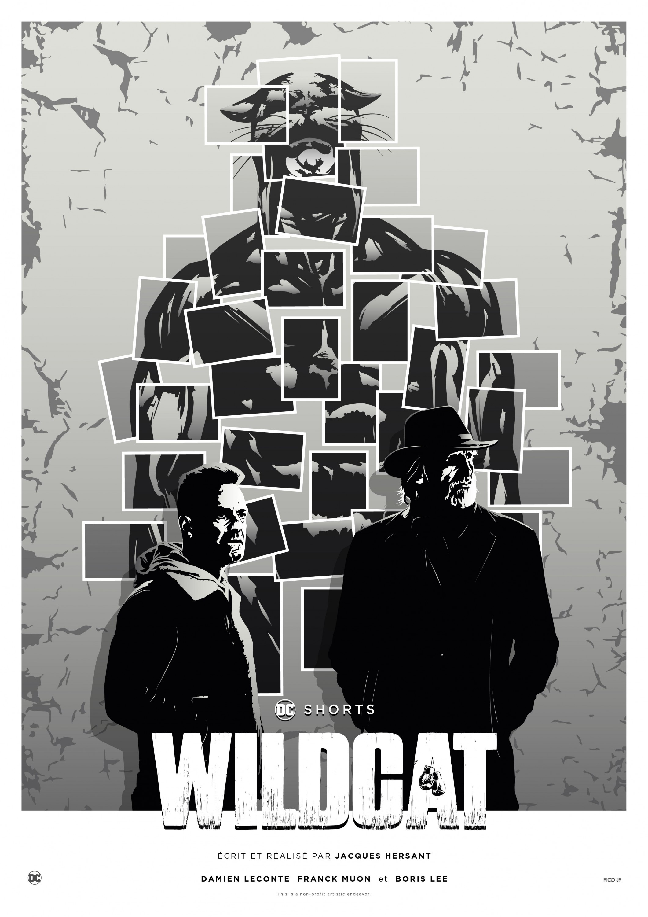 Mega Sized Movie Poster Image for Wildcat