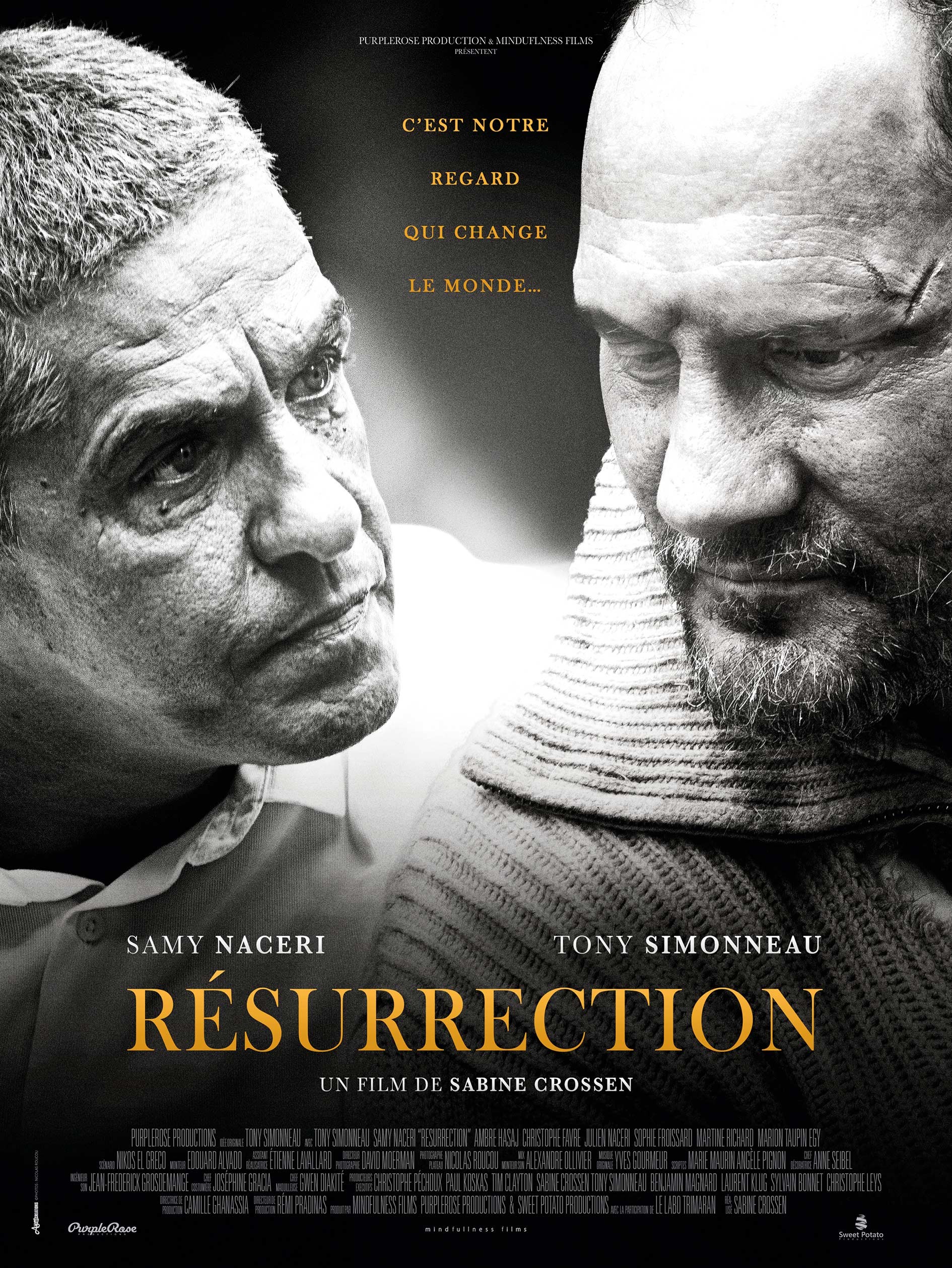 Mega Sized Movie Poster Image for Resurrection
