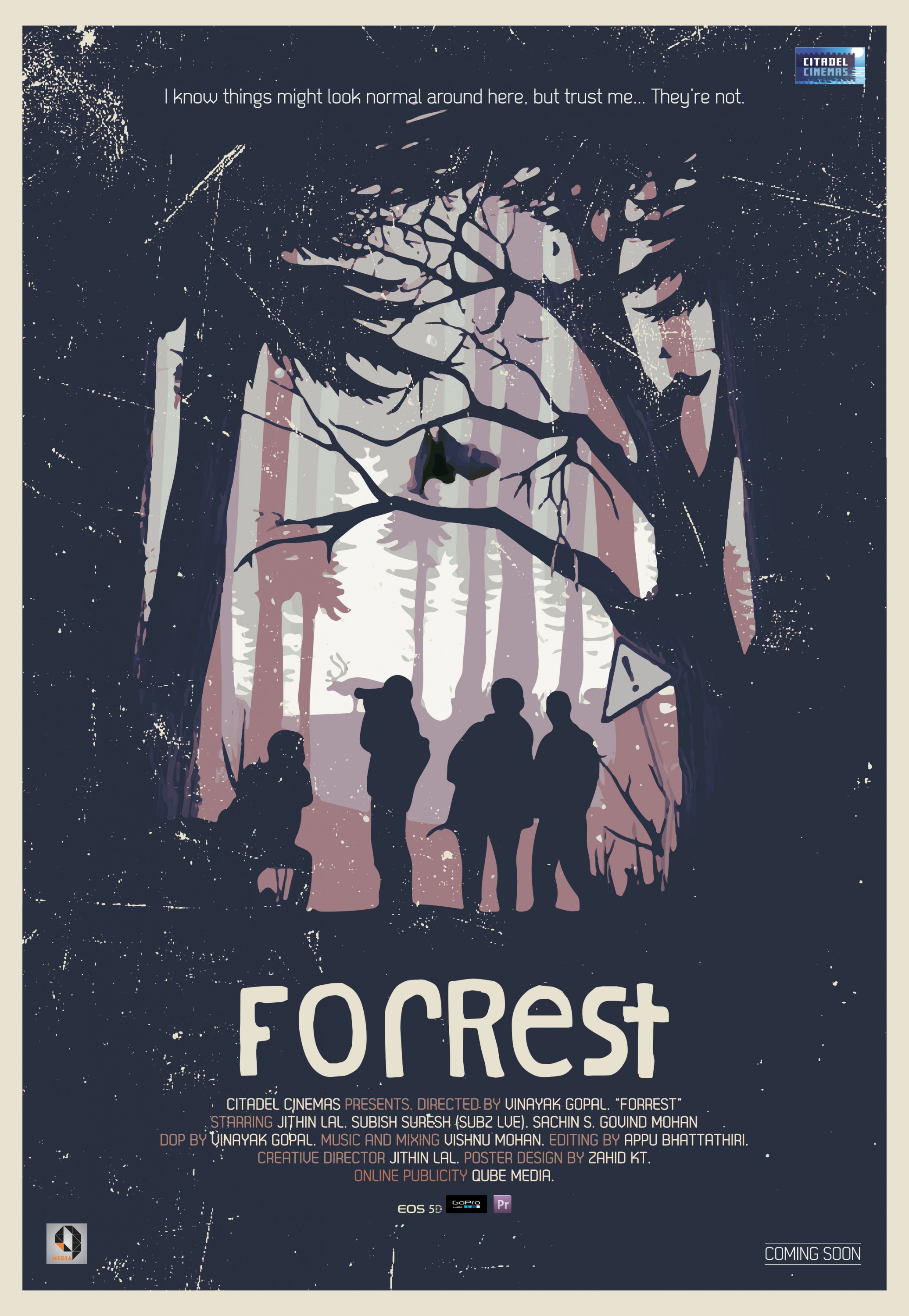 Mega Sized Movie Poster Image for ForRest