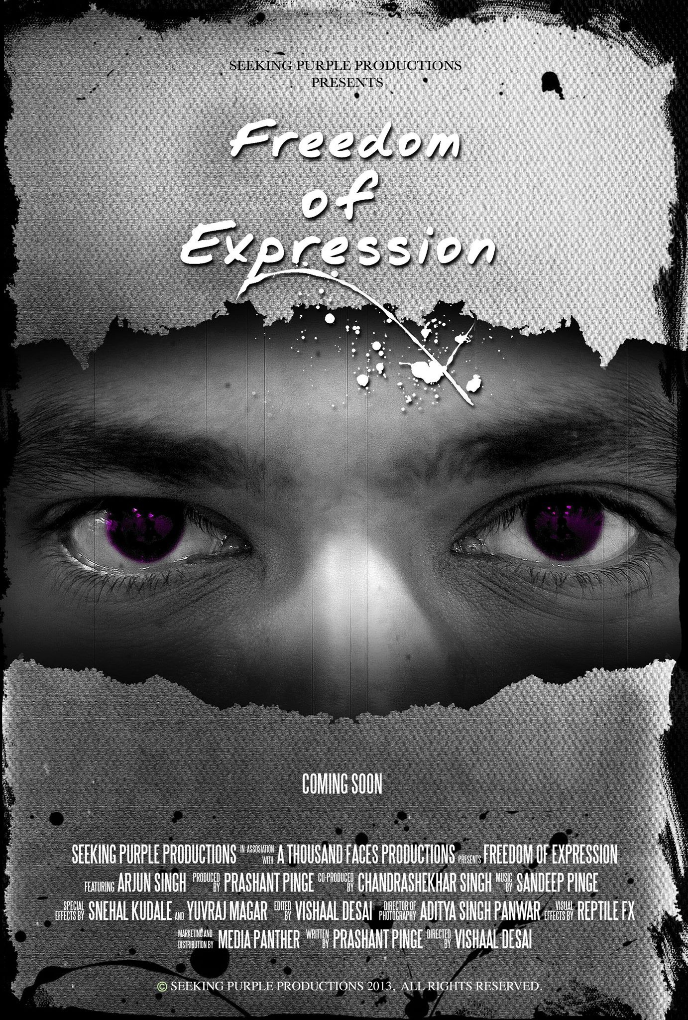 Mega Sized Movie Poster Image for Freedom of Expression