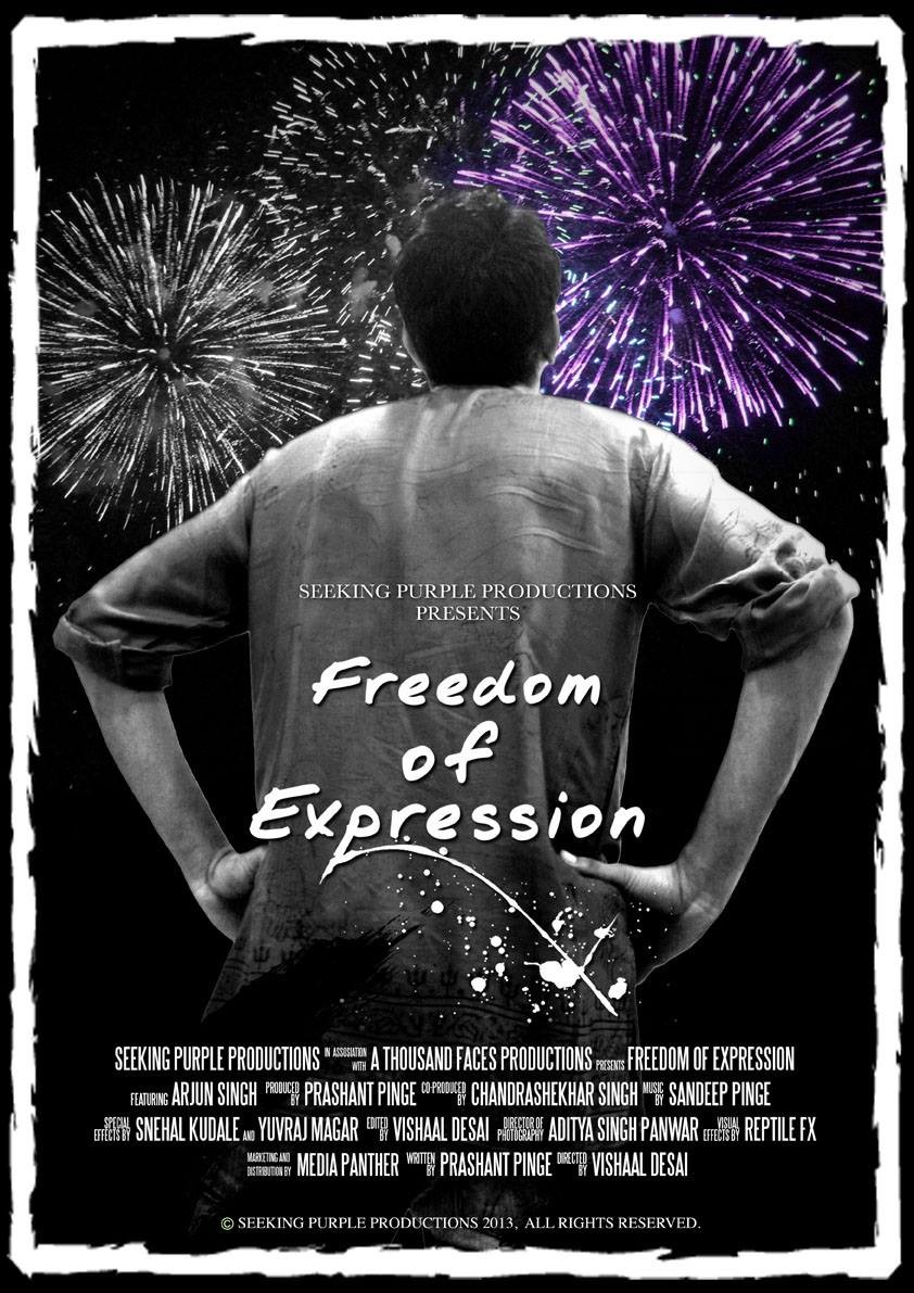 Extra Large Movie Poster Image for Freedom of Expression