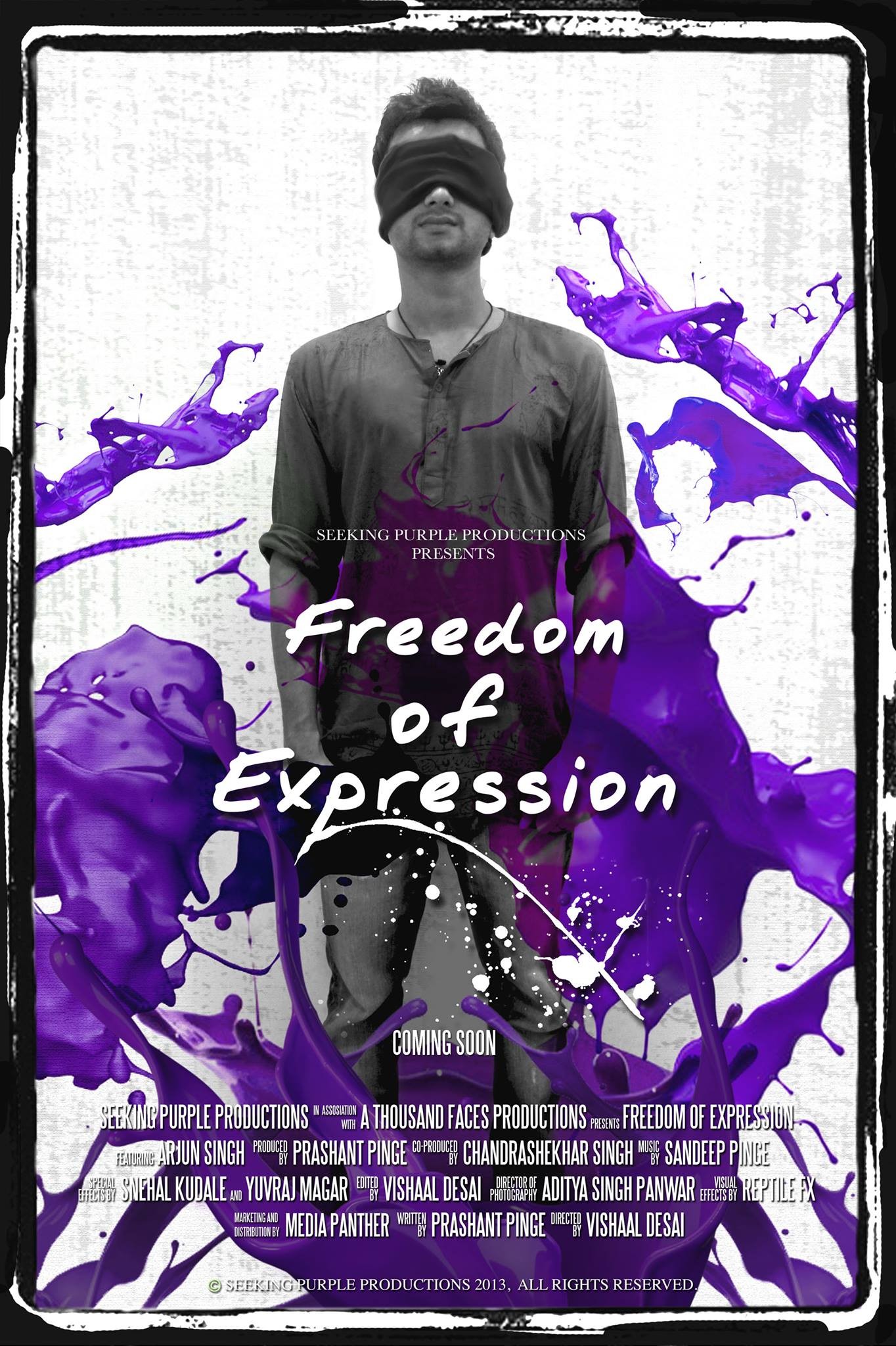 Mega Sized Movie Poster Image for Freedom of Expression