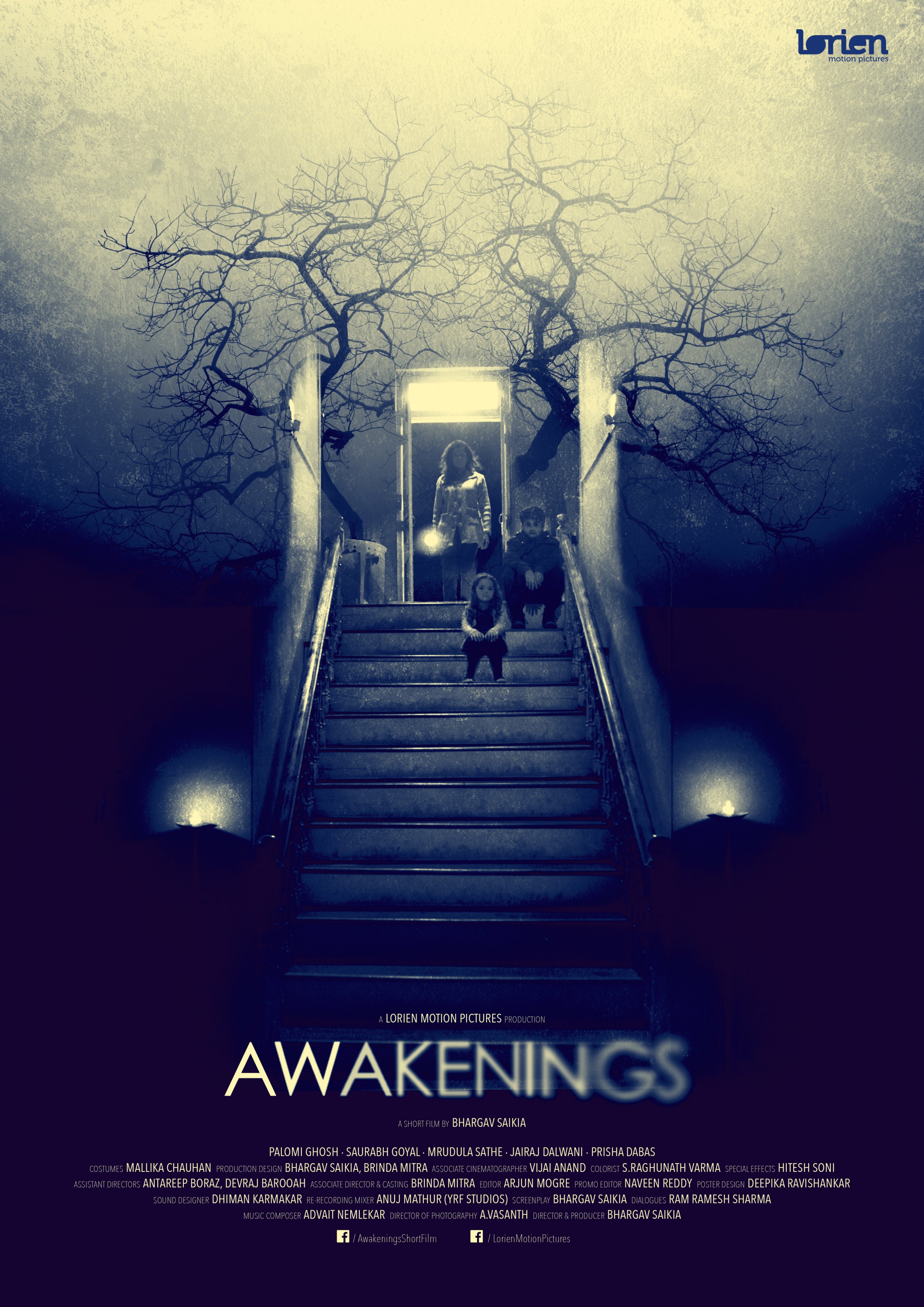 Mega Sized Movie Poster Image for Awakenings